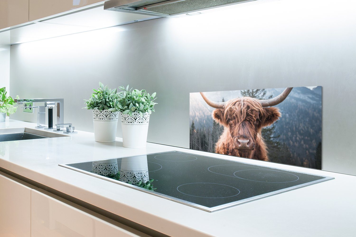 Kuh für Tiere - - Berg Schmutzflecken MuchoWow (1-tlg), Küchenrückwand Fett Küchen 60x30 Wandschutz, gegen Hochländer - Natur, und - cm, Schottischer