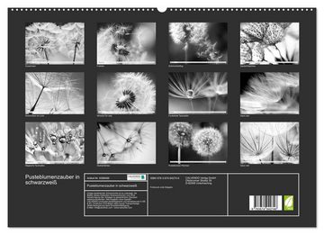 CALVENDO Wandkalender Pusteblumenzauber in schwarzweiß (Premium, hochwertiger DIN A2 Wandkalender 2023, Kunstdruck in Hochglanz)