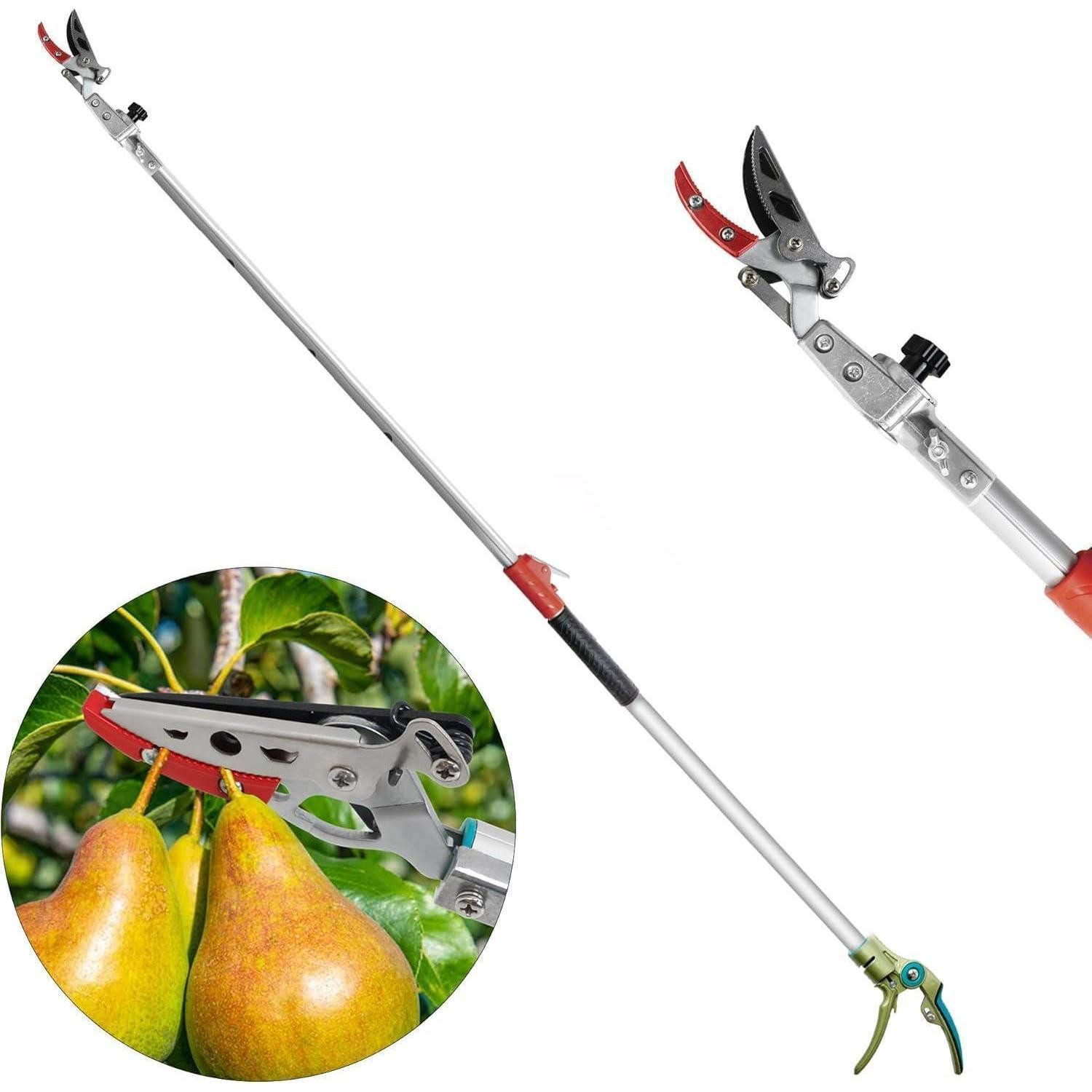 LuxusKollektion Astschere Astschere Teleskop 1,6-2,5 m Obstpflücker 1,6m Astschere Teleskop