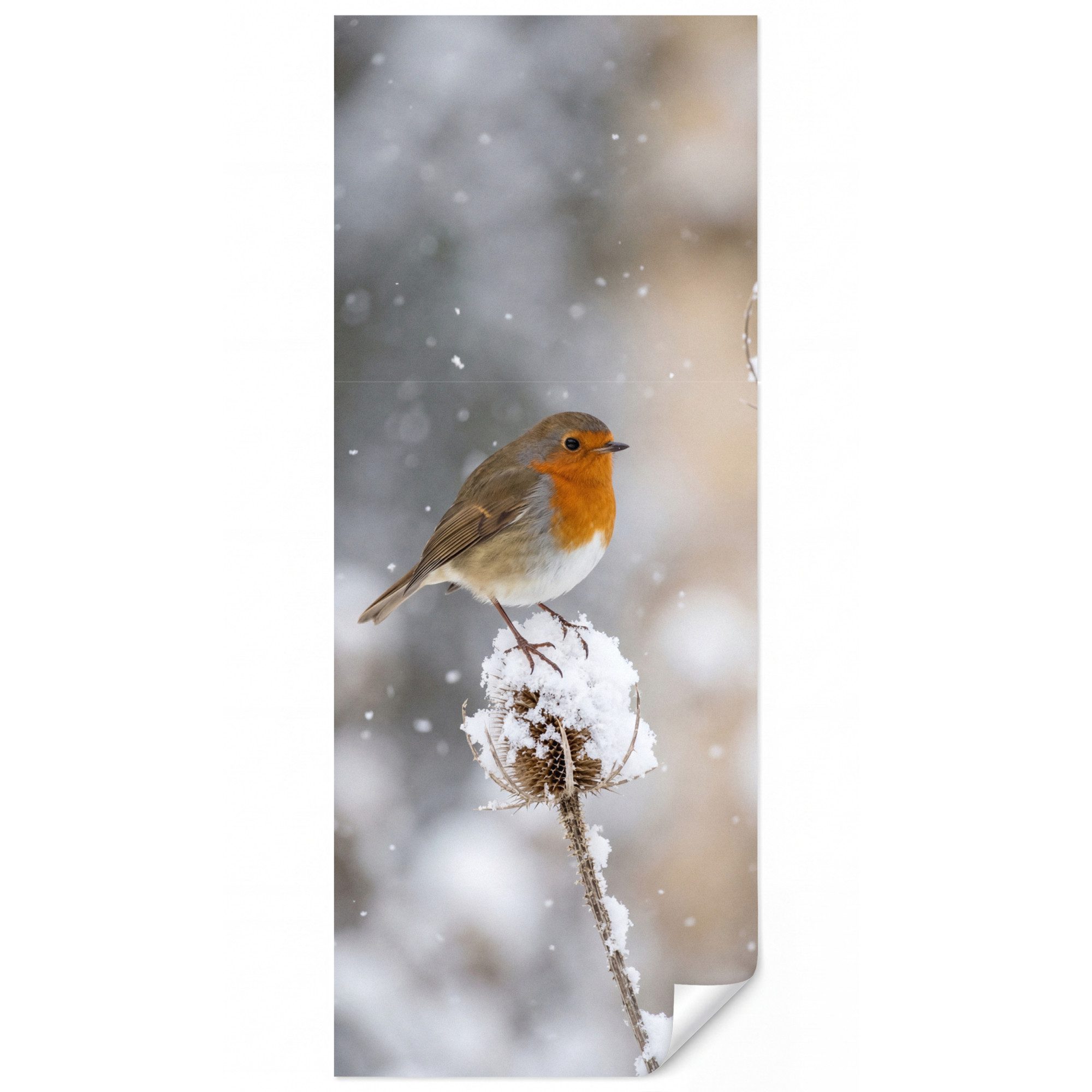 OnlyWow Fototapete Rotkehlchen - Getrocknete Blume - Schnee - Winter - Lieblich,