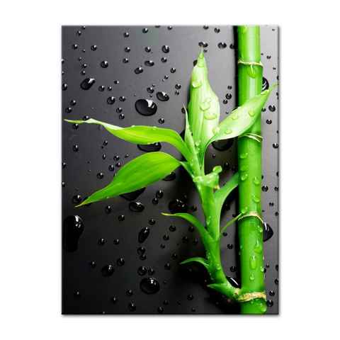 Bilderdepot24 Leinwandbild Frischer Bambus II, Pflanzen