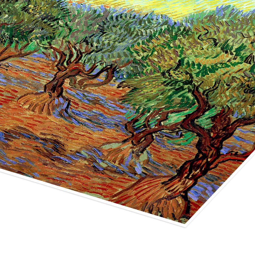 Posterlounge Wandbild Olivenhain II, Vincent van Gogh, erhältlich als Poster, Leinwandbild, Wandsticker oder Acrylglasbild