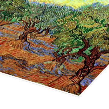 Posterlounge Poster Vincent van Gogh, Olivenhain II, Wohnzimmer Mediterran Malerei