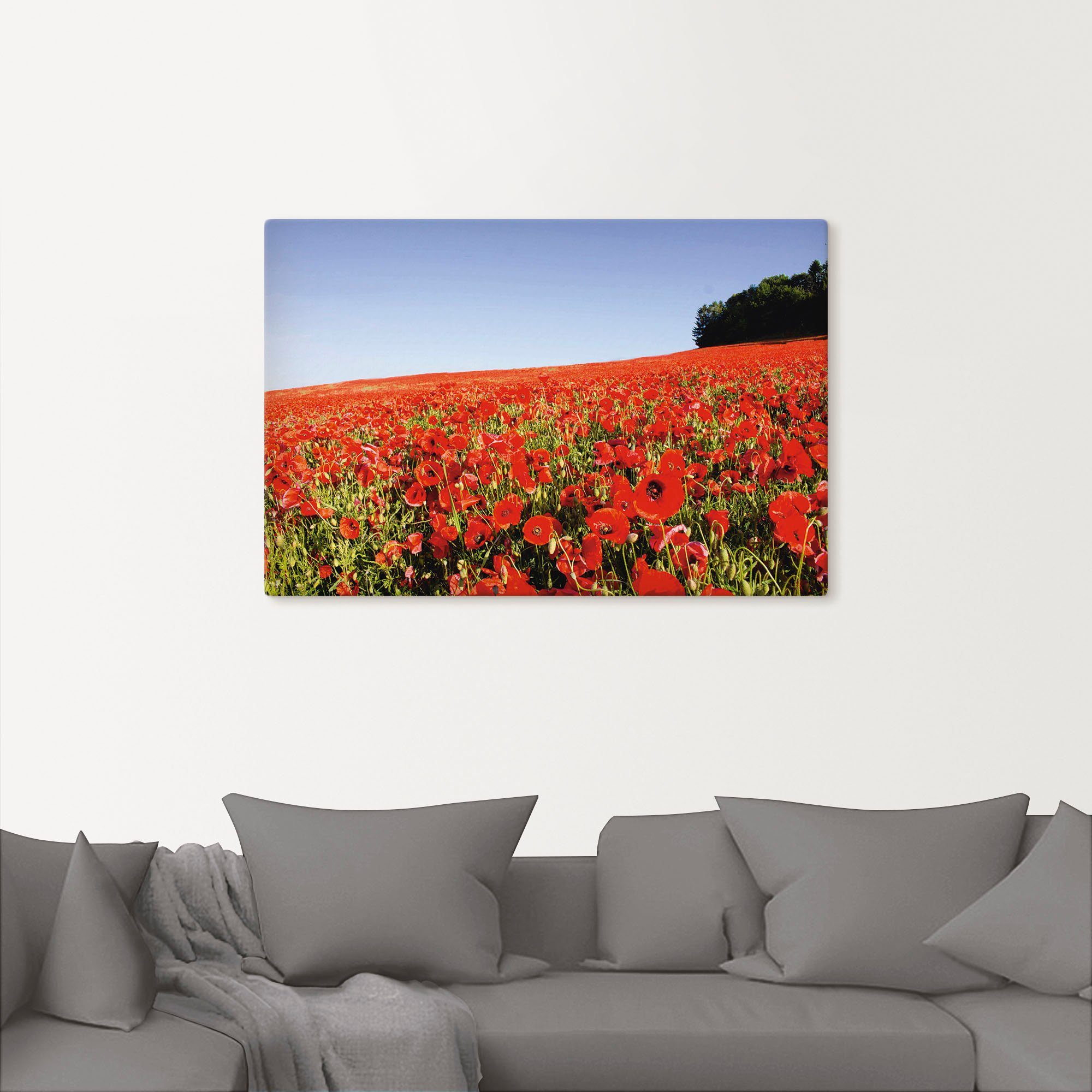 Artland Wandbild »Mohnfeld«, Wiesen & Baumbilder (1 Stück), in vielen Größen & Produktarten - Alubild / Outdoorbild für den Außenbereich, Leinwandbild, Poster, Wandaufkleber / Wandtattoo auch für Badezimmer geeignet-kaufen