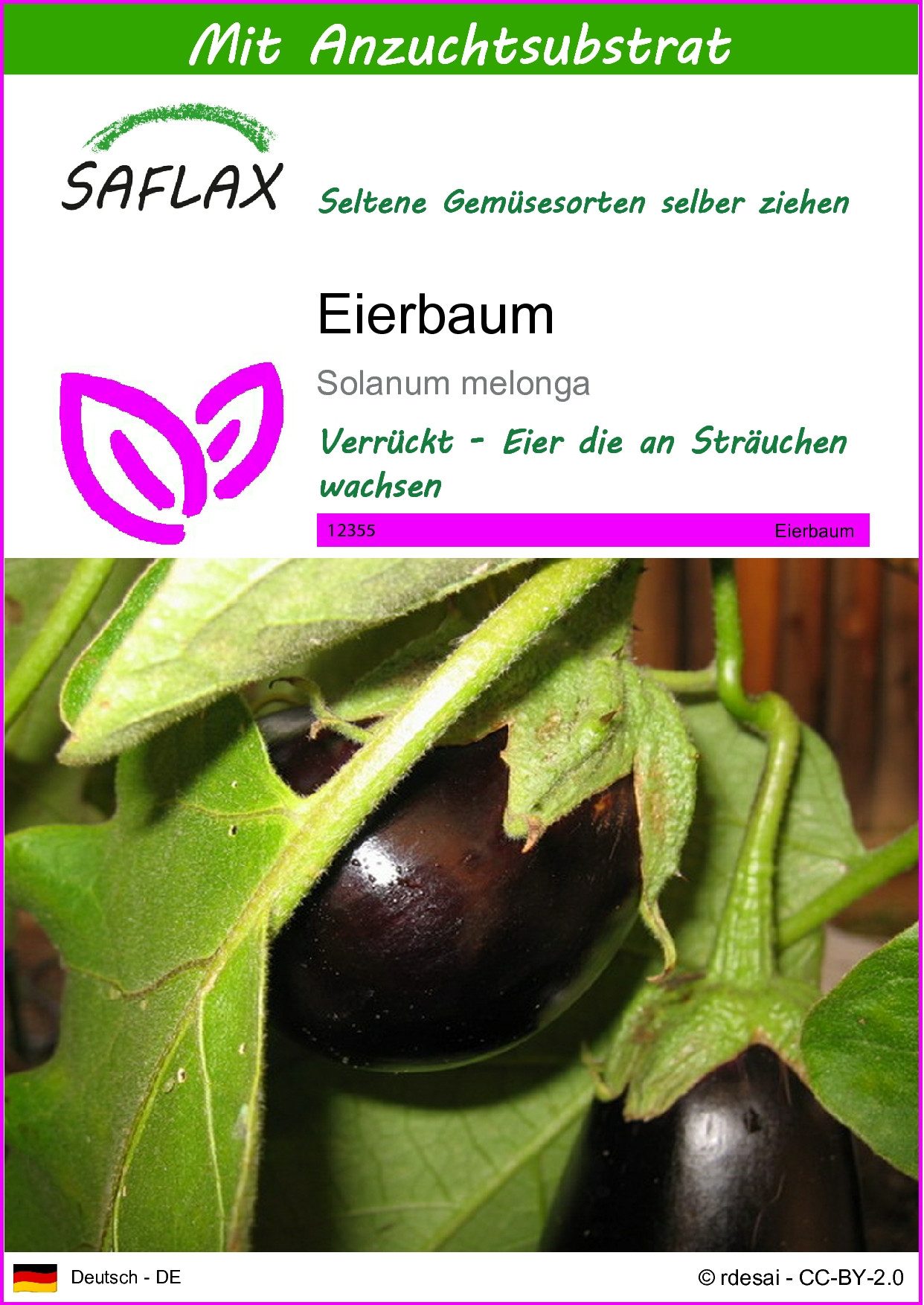 Gemüsesamen SAFLAX - Samen und Substrat - Eierbaum