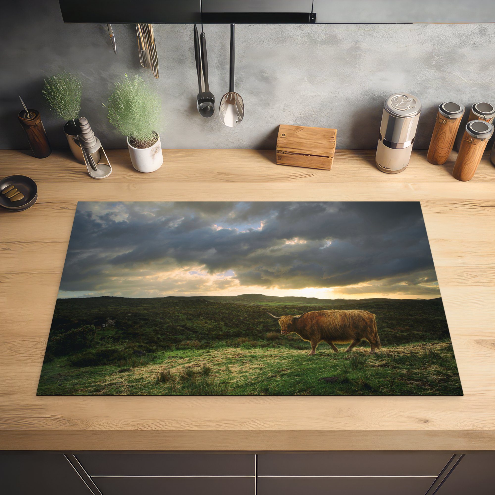 cm, Ceranfeldabdeckung Schottischer Induktionskochfeld (1 tlg), - Landschaft 81x52 küche, Herdblende-/Abdeckplatte Hochländer für die MuchoWow Schutz - Kuh, Vinyl,