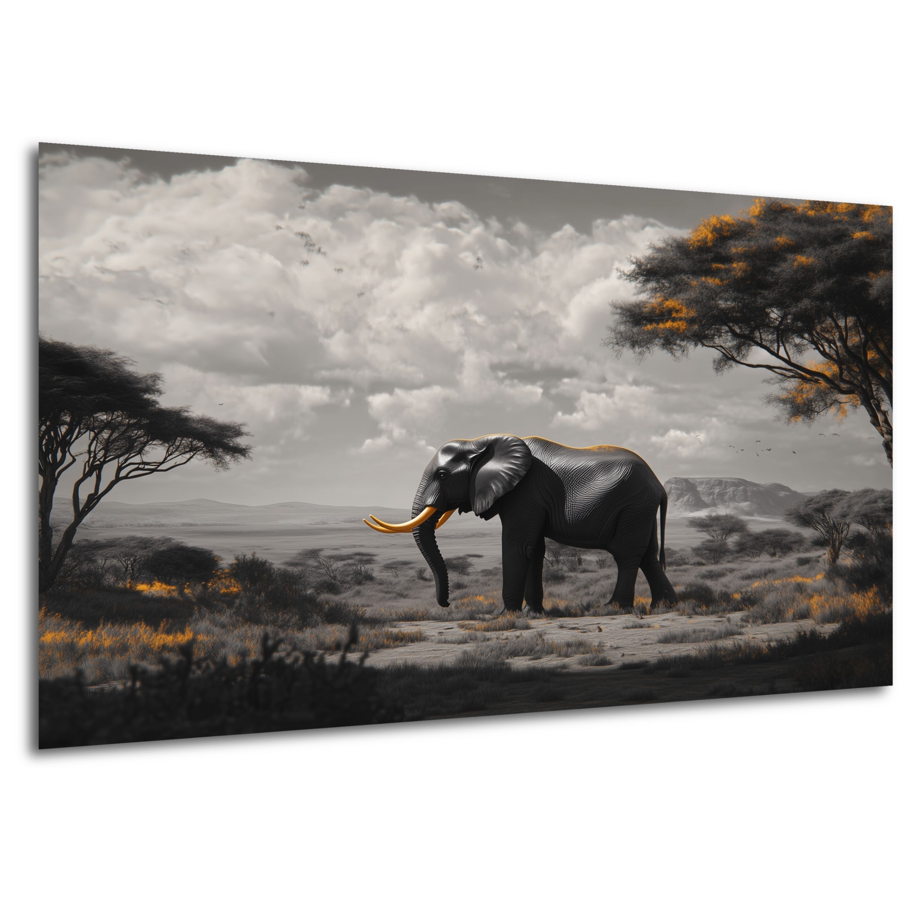 DARO Design Leinwandbild Modern Abstrakt Wandbilder XXL Wandbild Wand Deko Leinwand Bilder, (Elefant schwarz/weiß - Bild groß Wohnzimmer Schlafzimmer Küche Esszimmer Einteilig Querformat Fotodruck Leinwände Wanddeko Abstrakte Kunst Boho), 40x30cm