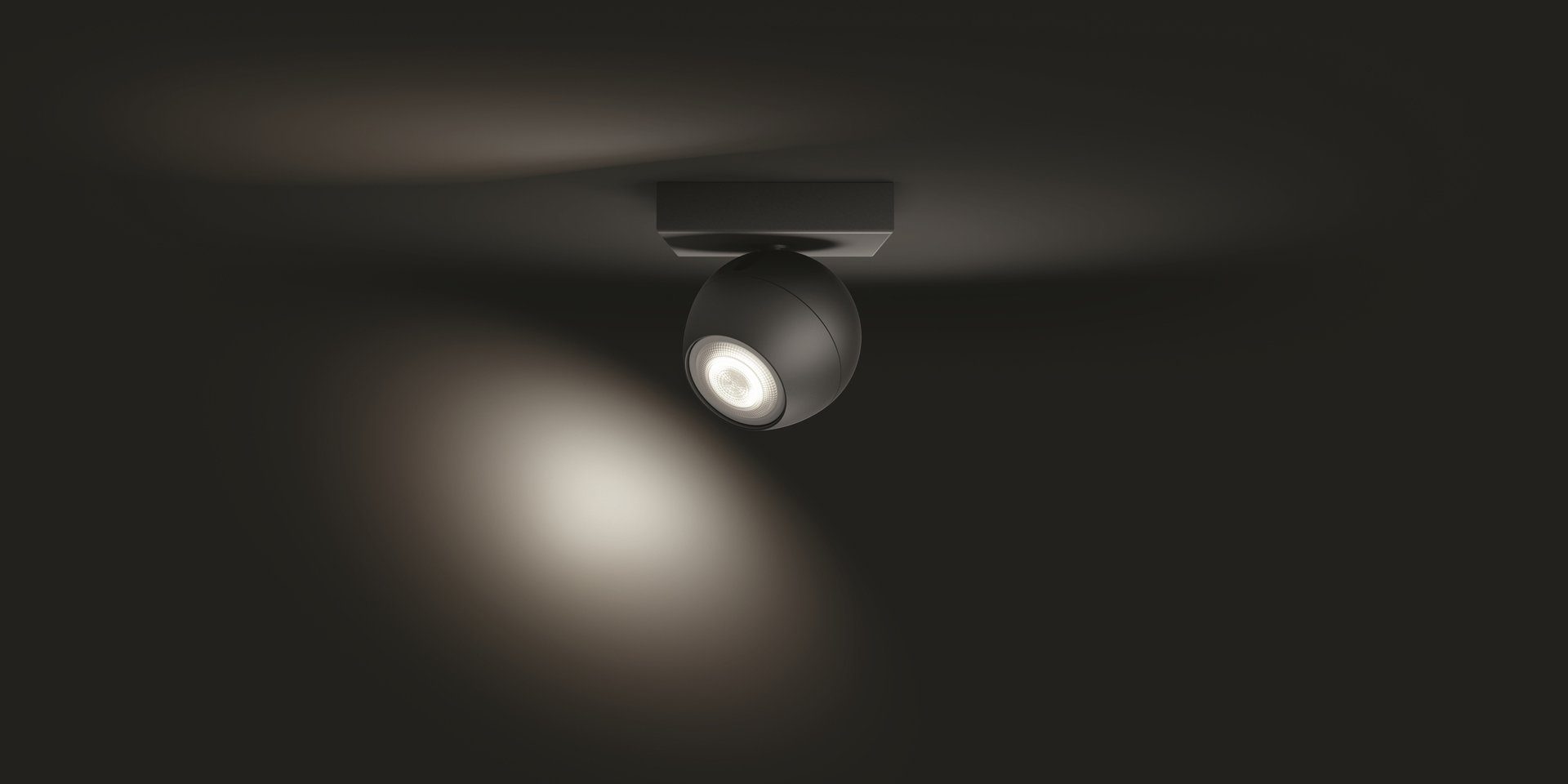 Dimmfunktion, Hue Warmweiß Flutlichtstrahler Leuchtmittel Philips Buckram, LED wechselbar,