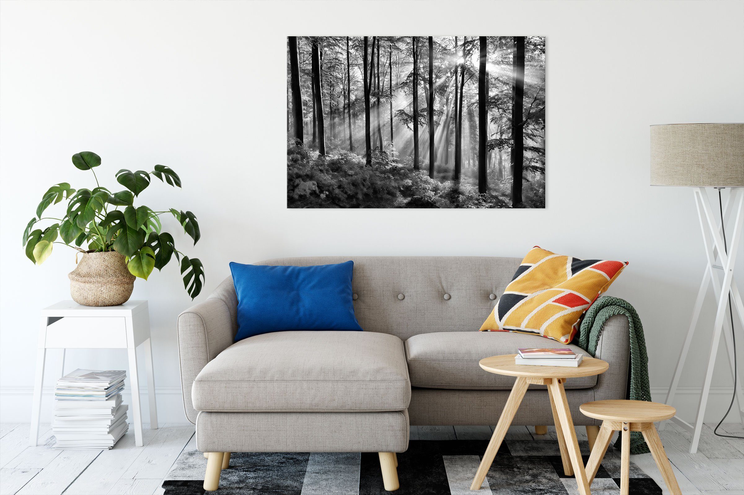 Pixxprint Leinwandbild Sonnenstrahlen im Wald, Sonnenstrahlen im Wald (1 St günstig online kaufen