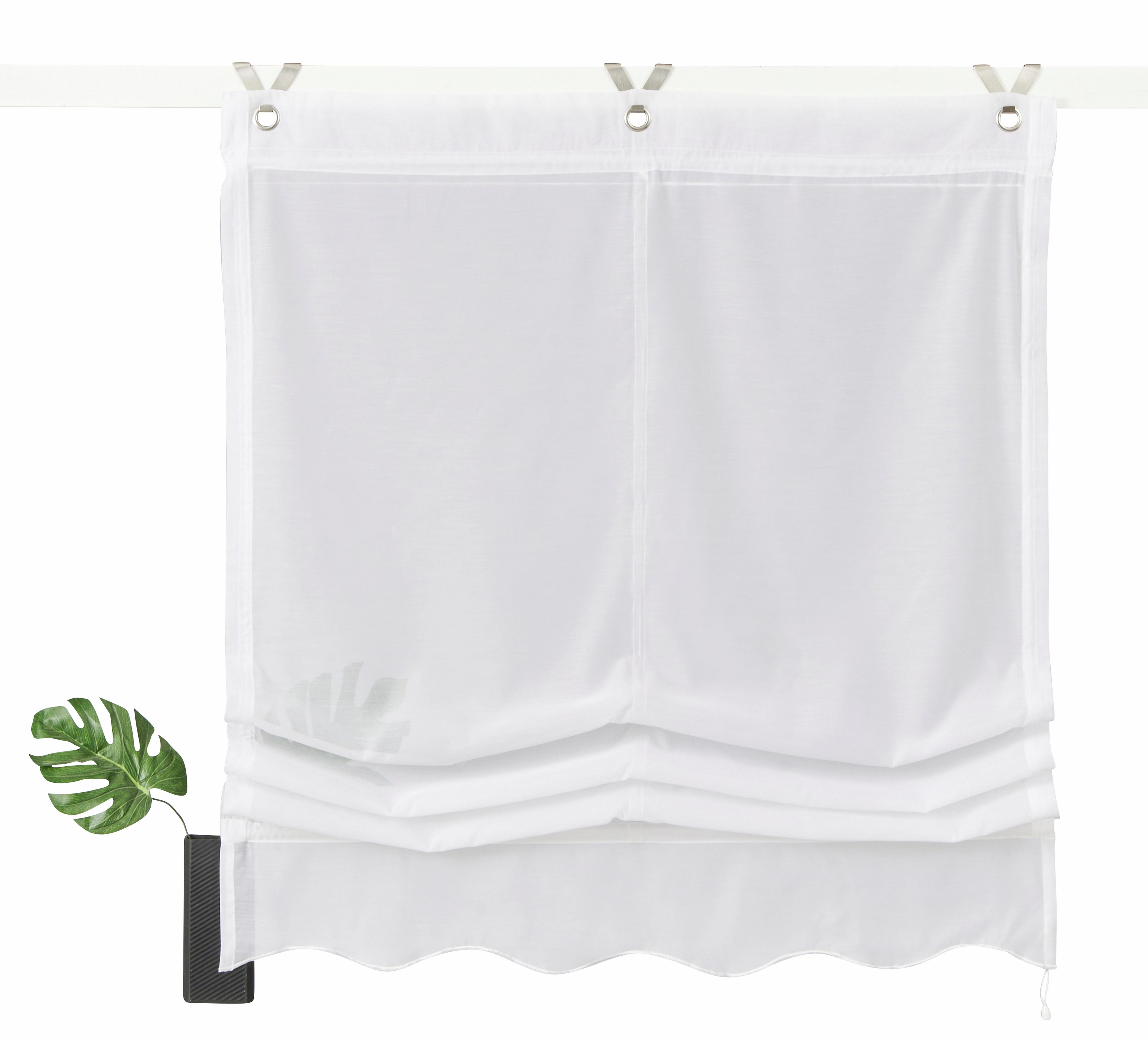 my home Raffrollo Carpi, mit Hakenaufhängung, ohne Bohren, Transparent, Voi günstig online kaufen