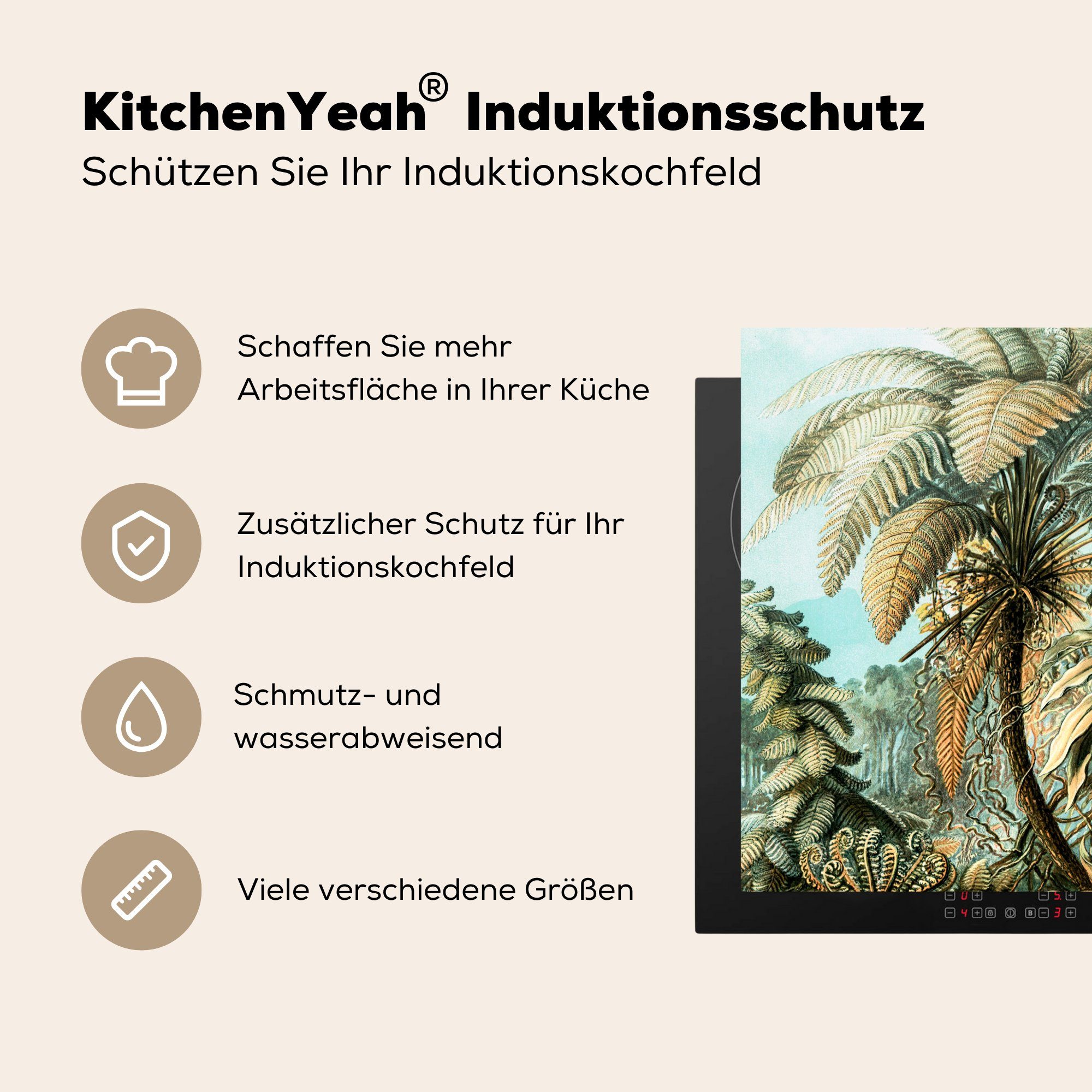 Herdblende-/Abdeckplatte cm, Haeckel, MuchoWow Vinyl, Ceranfeldabdeckung, küche tlg), für 78x78 Arbeitsplatte Palme Ernst - (1