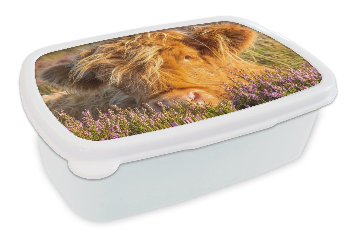MuchoWow Lunchbox Schottische Highlander - Heide - Gras - Tiere, Kunststoff, (2-tlg), Brotbox für Kinder und Erwachsene, Brotdose, für Jungs und Mädchen weiß