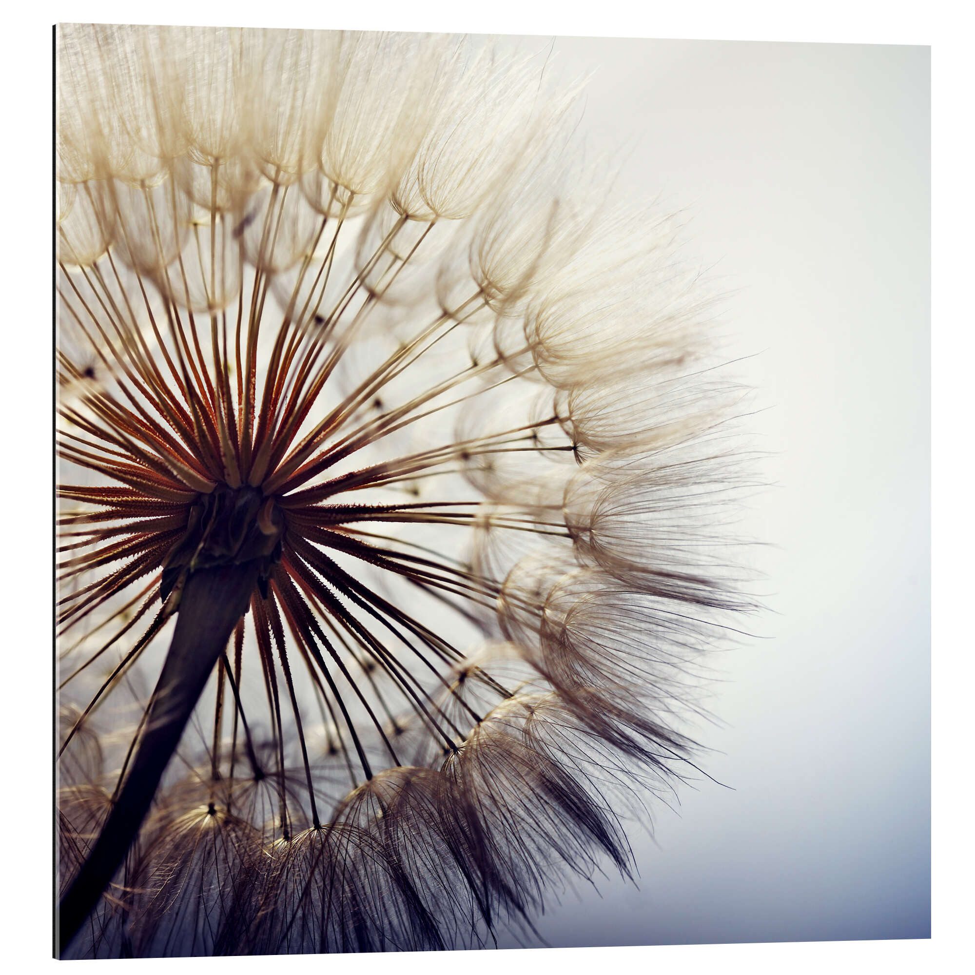 XXL-Wandbild Editors Choice