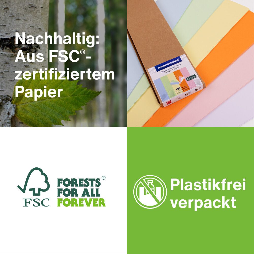 HOLT Anzeigetafel Überschriftenstreifen 100St 545x95mm (1-St)