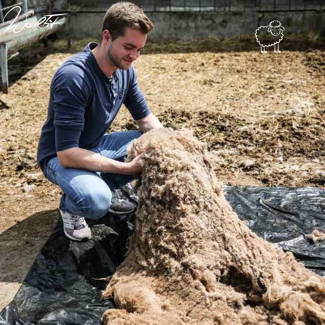 WoolFit Tundra Pantoffel für alle Jahreszeiten Hausschuh besonders leicht und flexibel