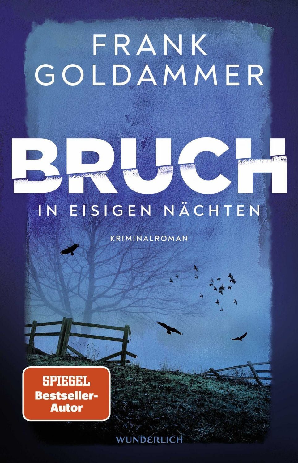 Bruch: In eisigen Nächten / Frank Goldammer, Der neue Krimi von Bestsellerautor Frank Goldammer