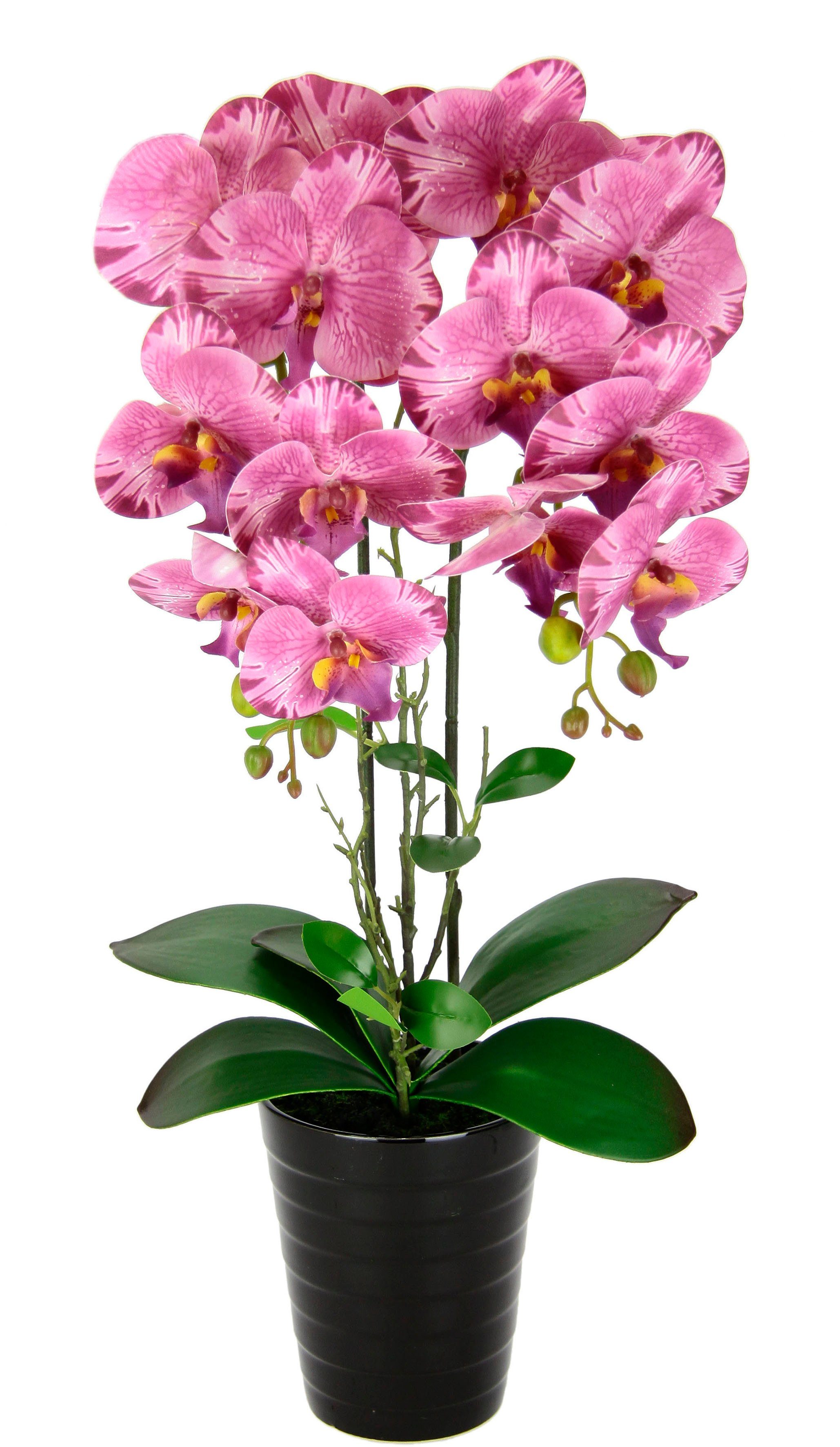Kunstblume Orchidee