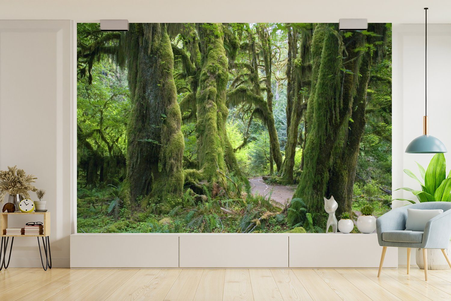 Baumstämme MuchoWow St), bedruckt, einem Kinderzimmer, Schlafzimmer, (6 Wallpaper Washingtoner Regenwald, Bewaldete Vinyl für Tapete Matt, in Fototapete Wohnzimmer,