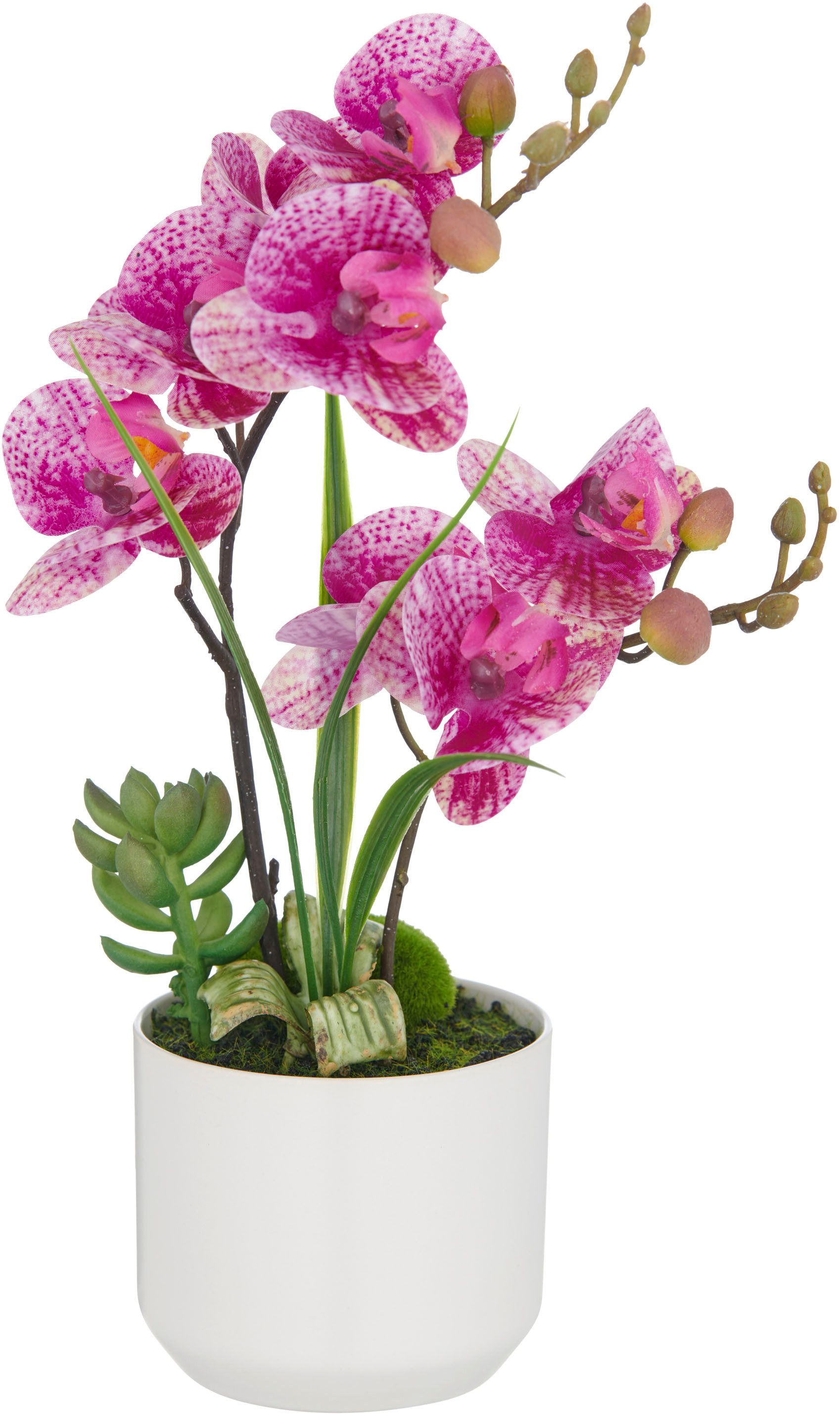 Kunstorchidee Orchidee Phalaenopsis, Creativ green, Höhe günstig online kaufen