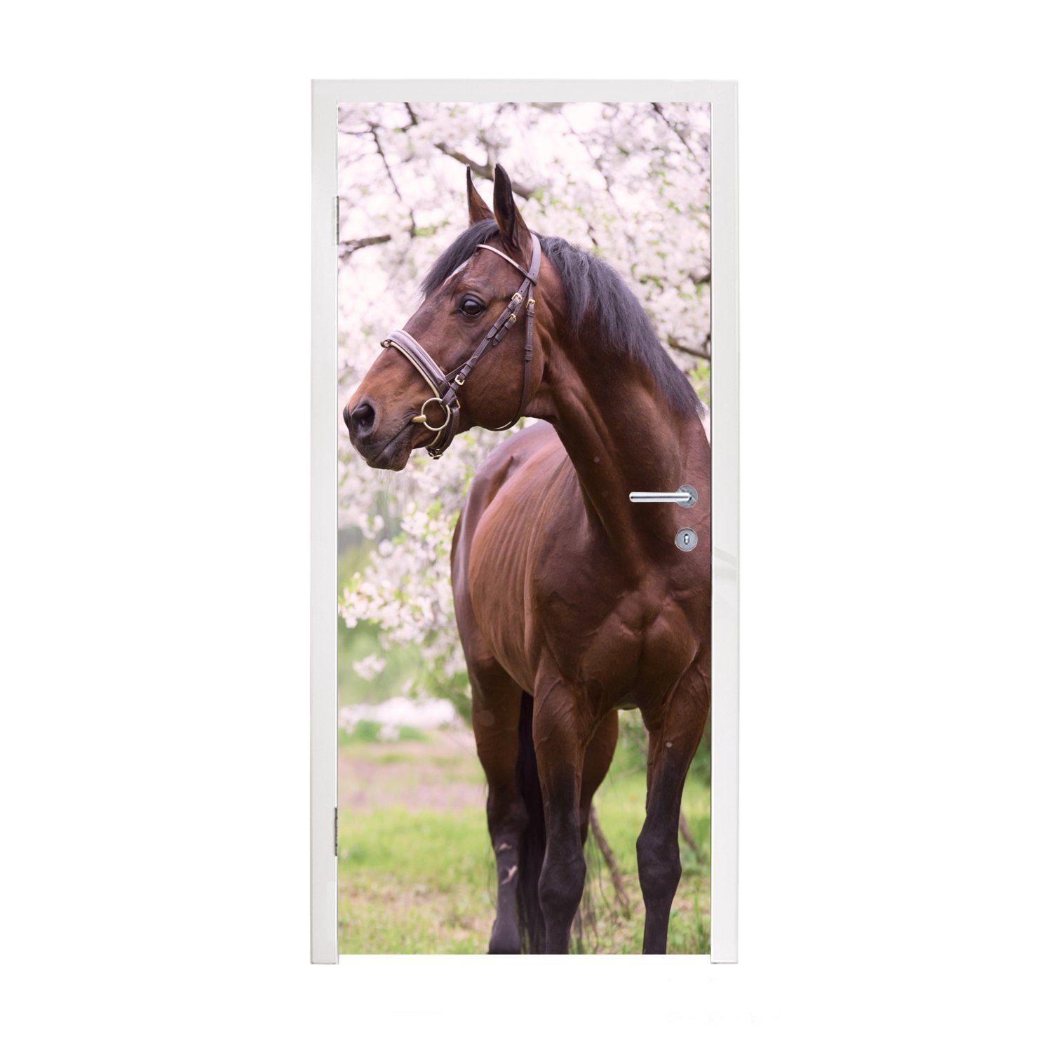 MuchoWow Türtapete Pferd - Sakura - Halfter, Matt, bedruckt, (1 St), Fototapete für Tür, Türaufkleber, 75x205 cm