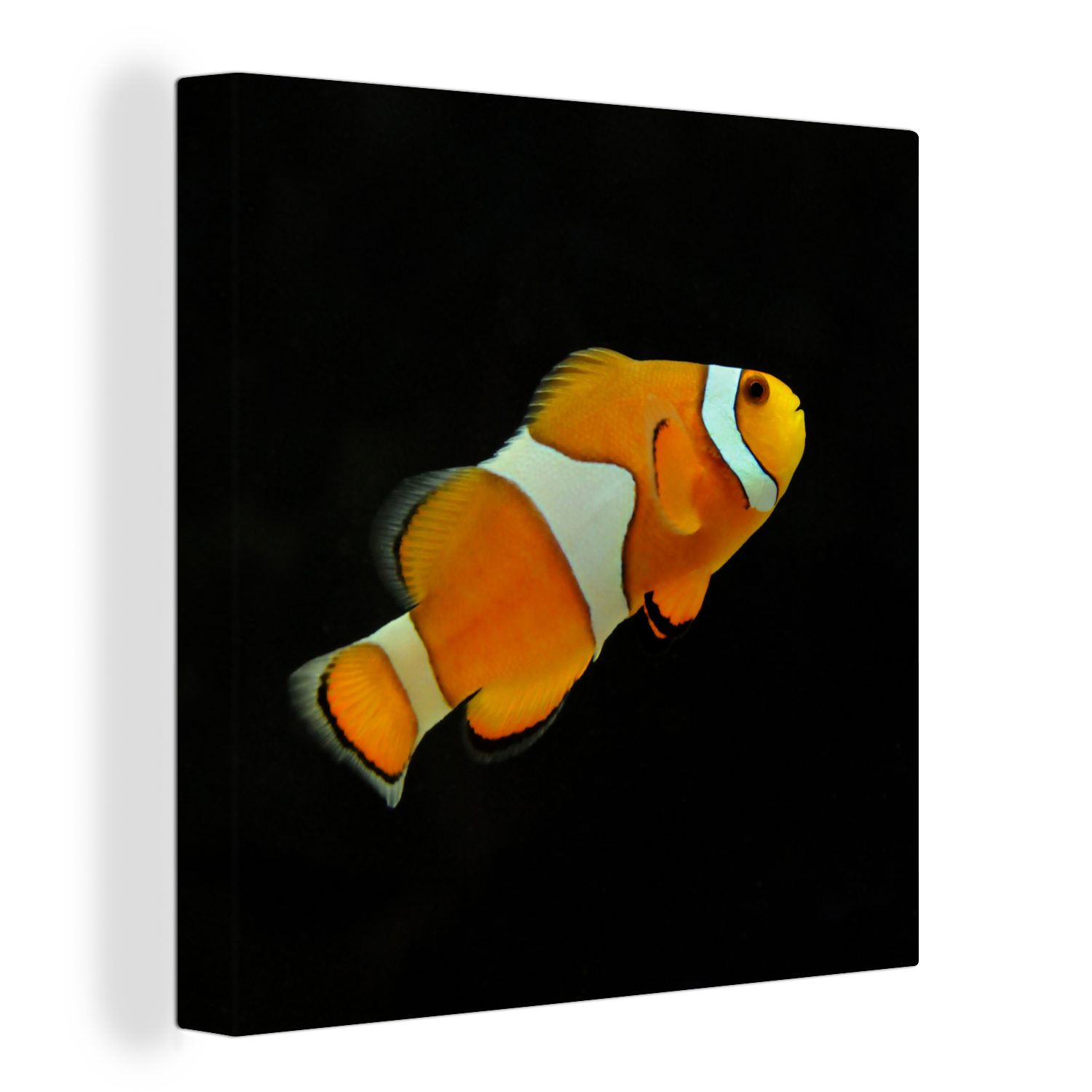 St), Bilder (1 Schlafzimmer für - Wohnzimmer Schwarz, Leinwand OneMillionCanvasses® Linie - Leinwandbild Fisch