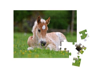 puzzleYOU Puzzle Wunderschönes Fohlen im Gras, 48 Puzzleteile, puzzleYOU-Kollektionen Fohlen, Pferde
