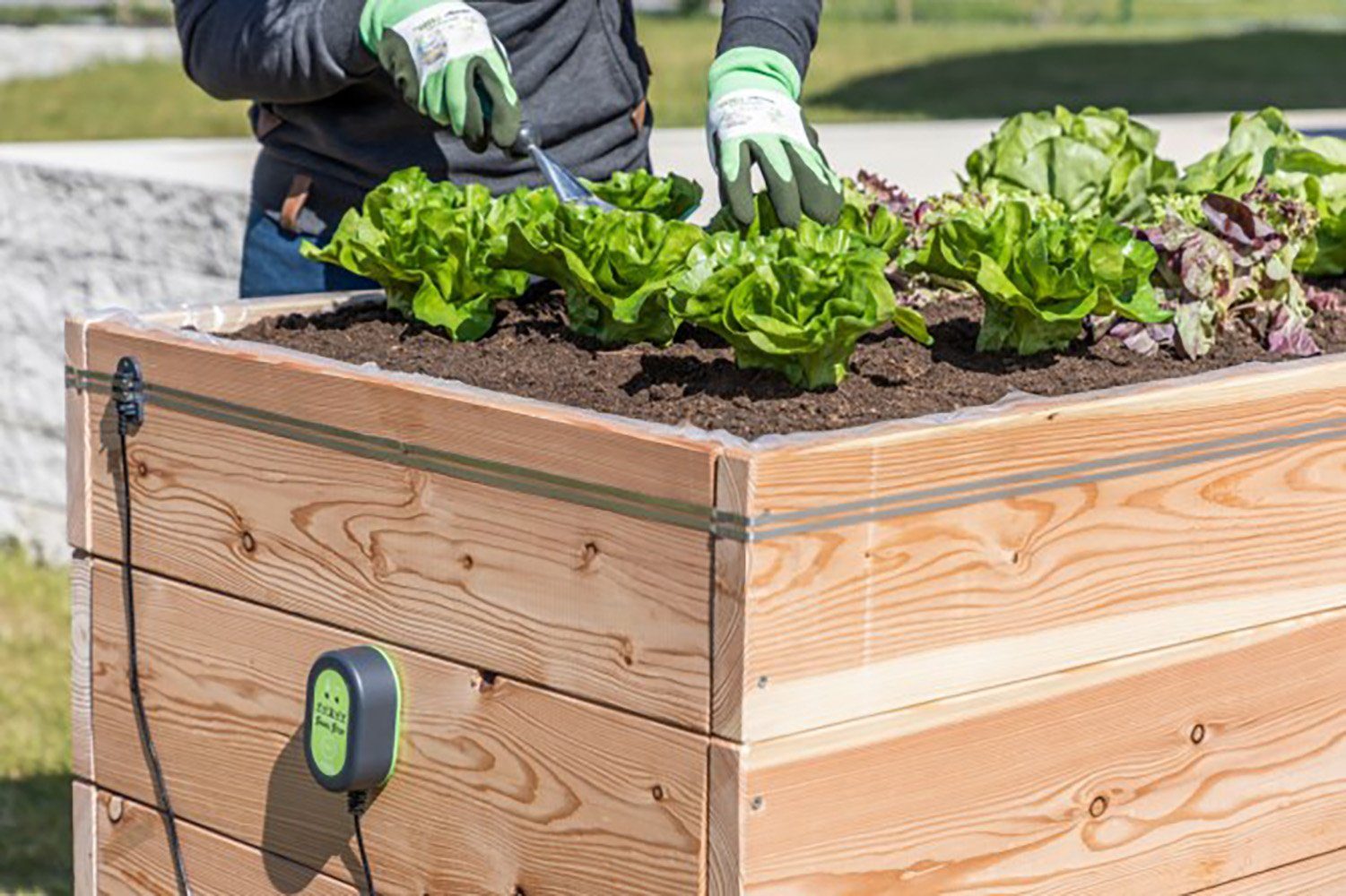 Kerbl Schneckenzaun Kerbl SnailStop Starter Set, Elektrischer Schneckenzaun, 291130, 3-St.