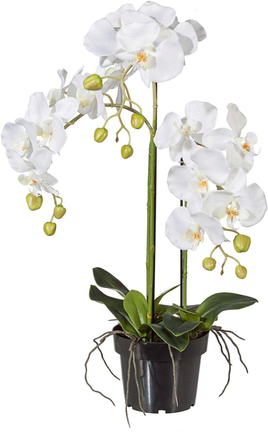 Kunstpflanze Orchidee, Creativ green, Höhe 62 cm