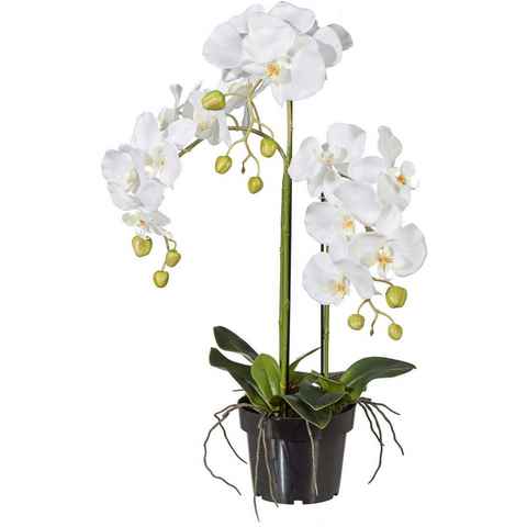 Kunstpflanze Orchidee, Creativ green, Höhe 62 cm