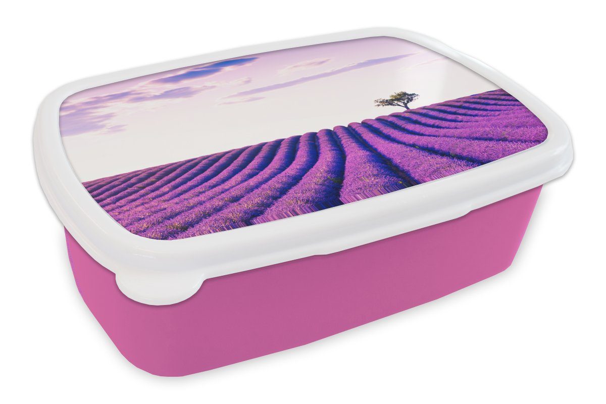 MuchoWow Lunchbox Lavendel - Bäume - Lila - Blumen, Kunststoff, (2-tlg), Brotbox für Erwachsene, Brotdose Kinder, Snackbox, Mädchen, Kunststoff rosa