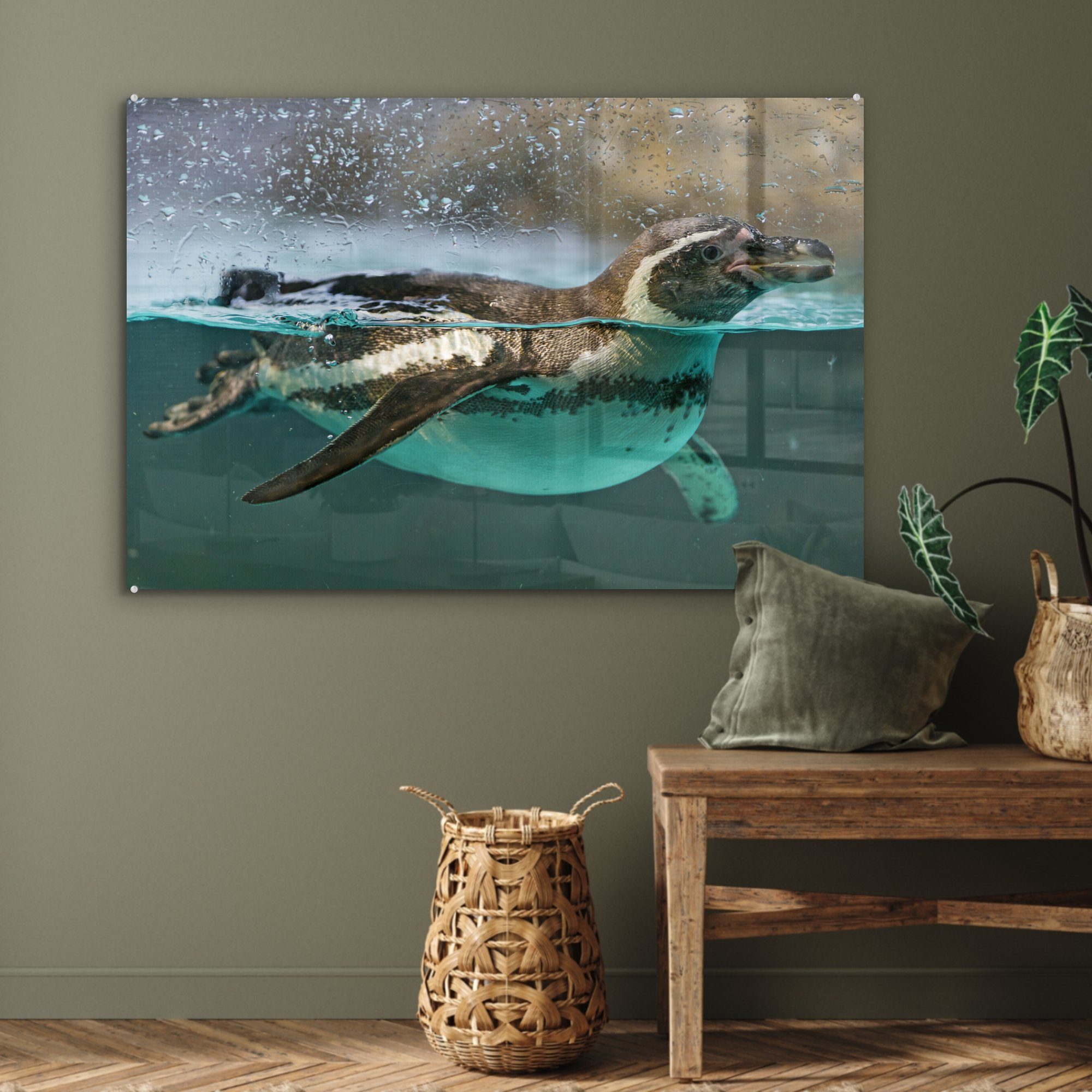 Schlafzimmer St), Wasseroberfläche, der Acrylglasbild auf Wohnzimmer & (1 Acrylglasbilder Humboldt-Pinguin MuchoWow