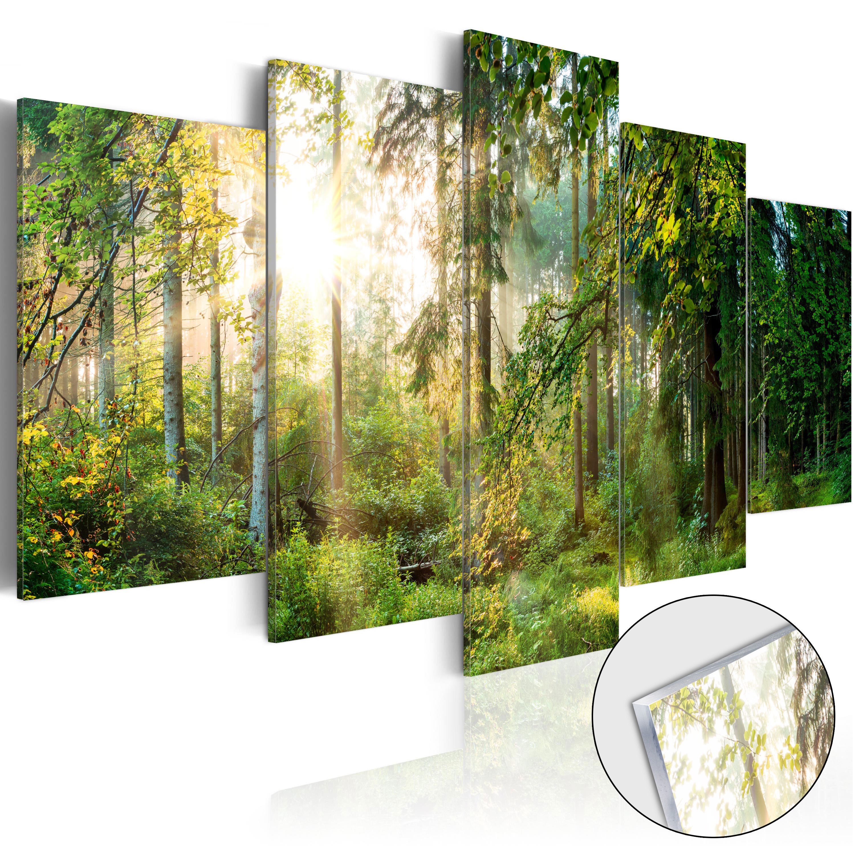 Artgeist Acrylglasbild Green Sanctuary [Glass]