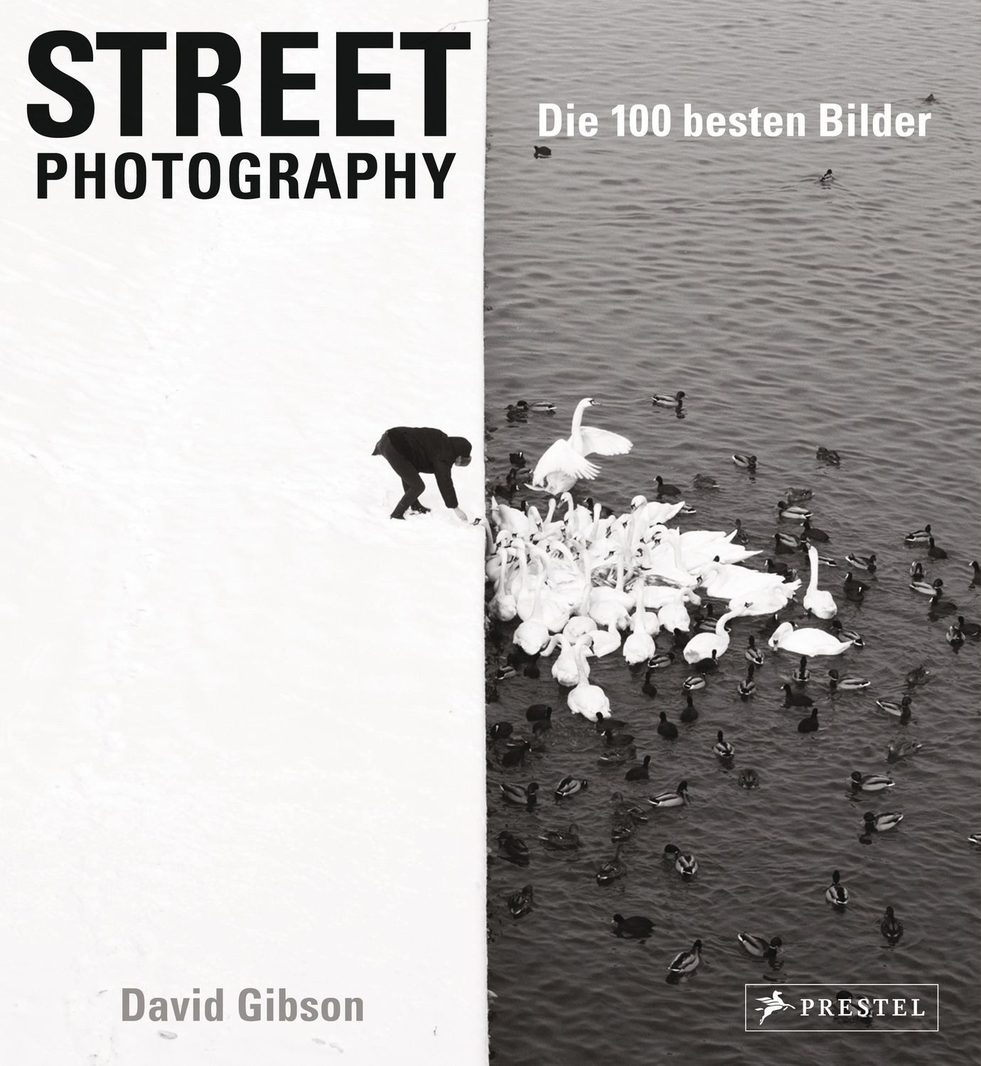 Street Photography: Die 100 besten Bilder / David Gibson