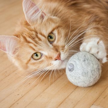 LucyBalu Tier-Intelligenzspielzeug MINT BALL Filzball mit Katzenminze