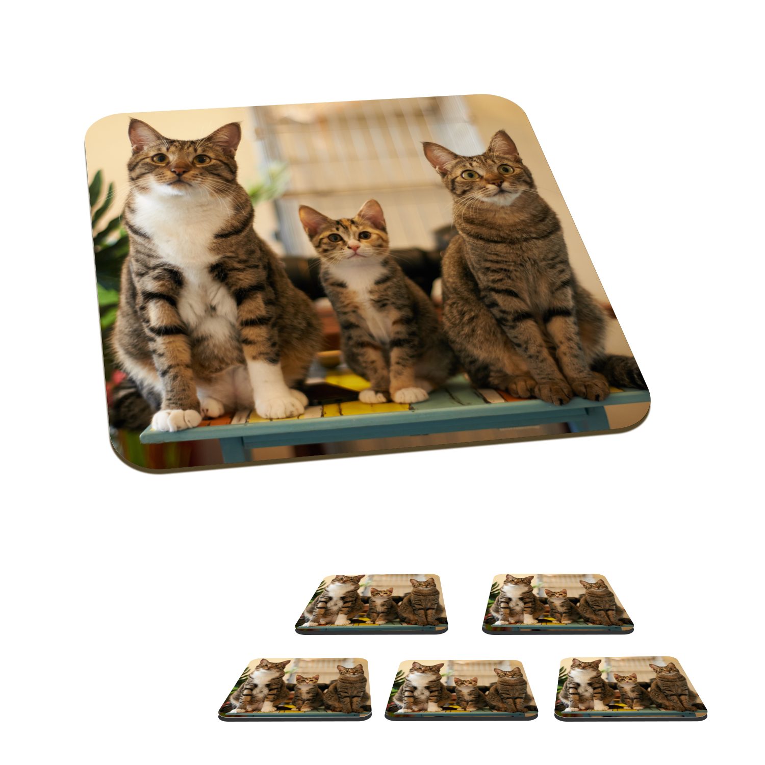 MuchoWow Glasuntersetzer Drei Katzen auf kleinem Tisch, Zubehör für Gläser, 6-tlg., Glasuntersetzer, Tischuntersetzer, Korkuntersetzer, Untersetzer, Tasse