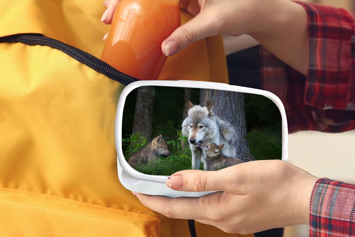 Lunchbox Jungs Kinder Wald, - für Erwachsene, (2-tlg), und und für Pflanzen weiß Wölfe Brotbox - Brotdose, Mädchen MuchoWow Kunststoff,