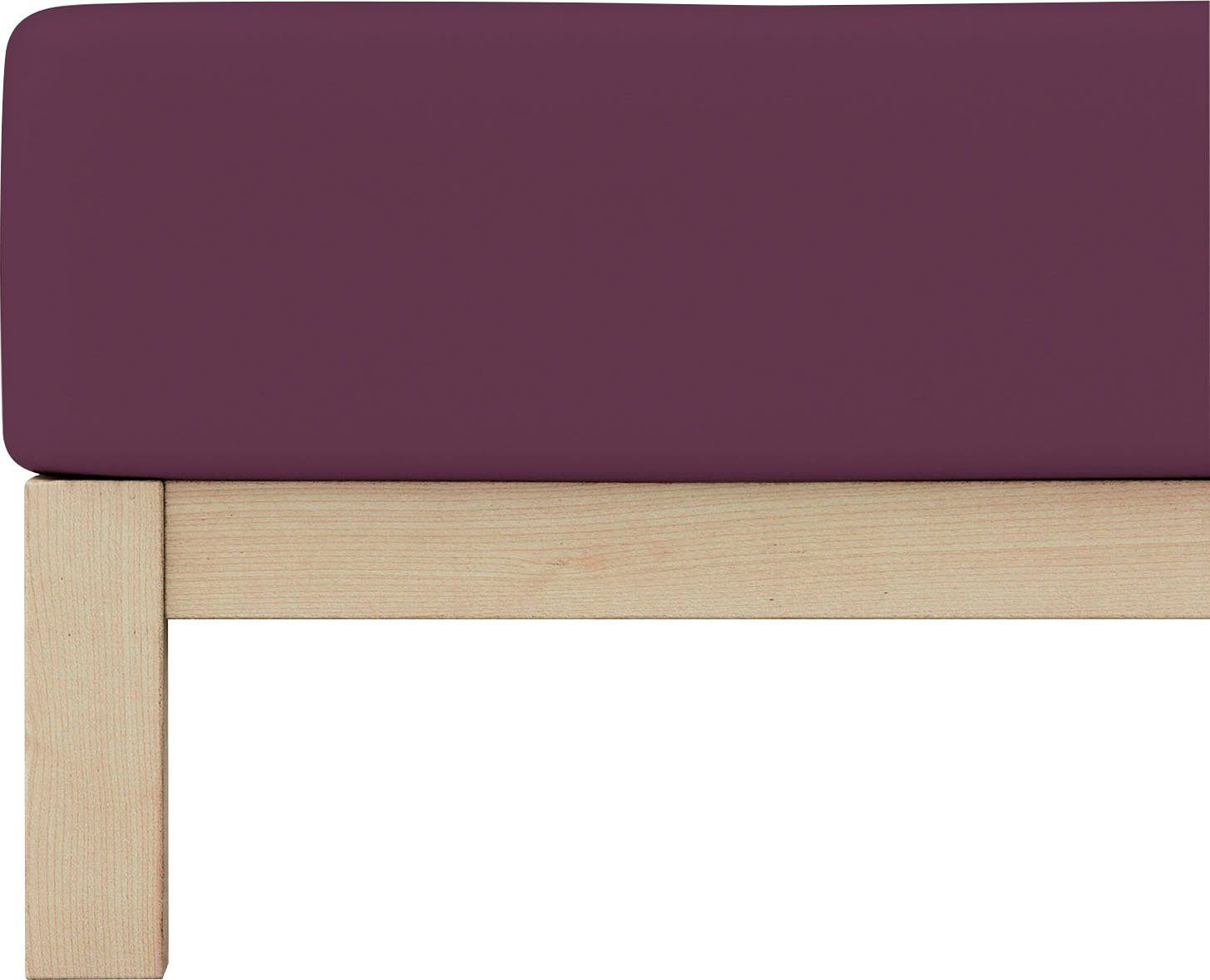 Schlafgut Spannbettlaken PURE Bio-Baumwolle mit Elasthan, günstig online kaufen