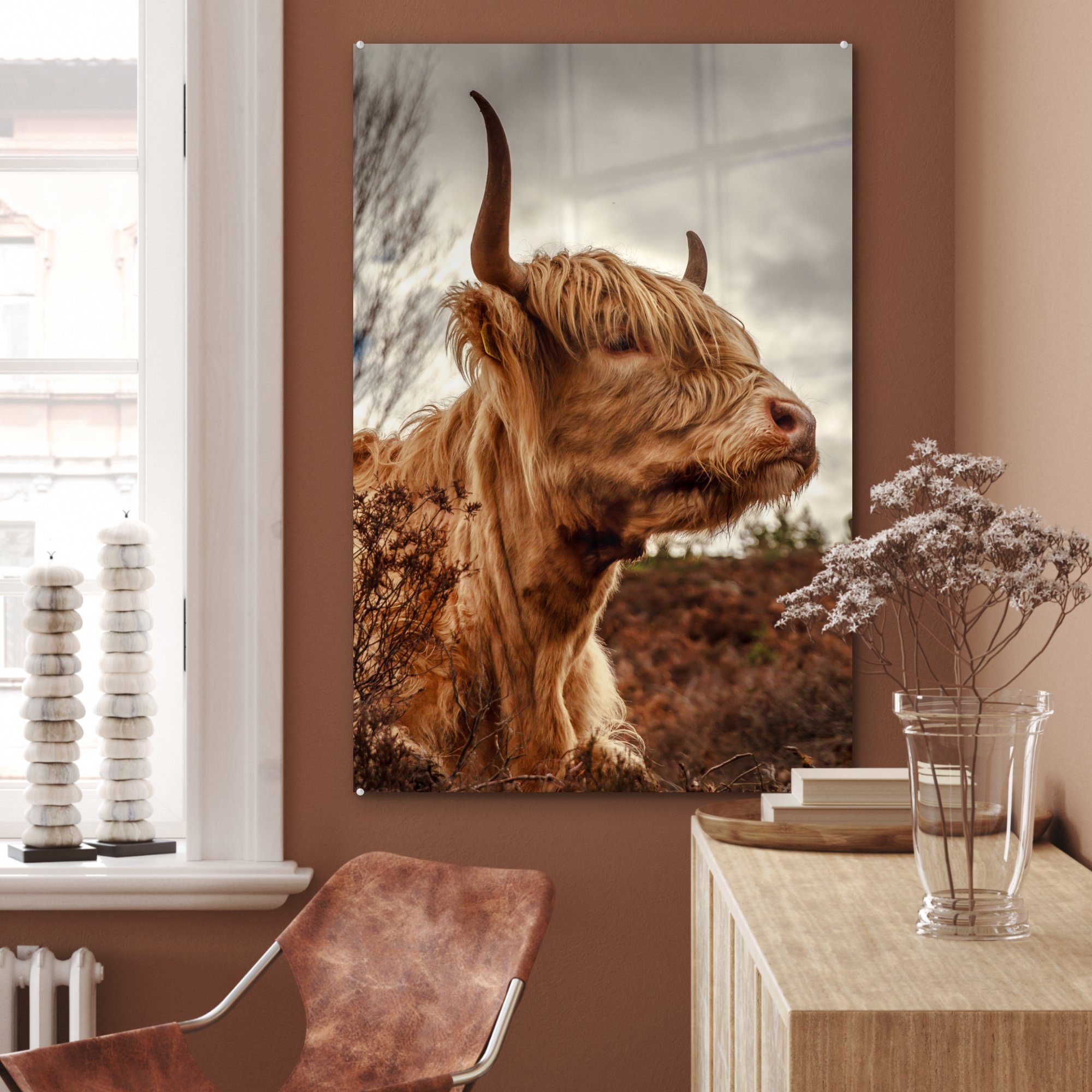 MuchoWow Acrylglasbild Scottish Highlander - (1 auf Strauch bunt Heidekraut, - Glas, wohnzimmer Dekoration St), Gemälde