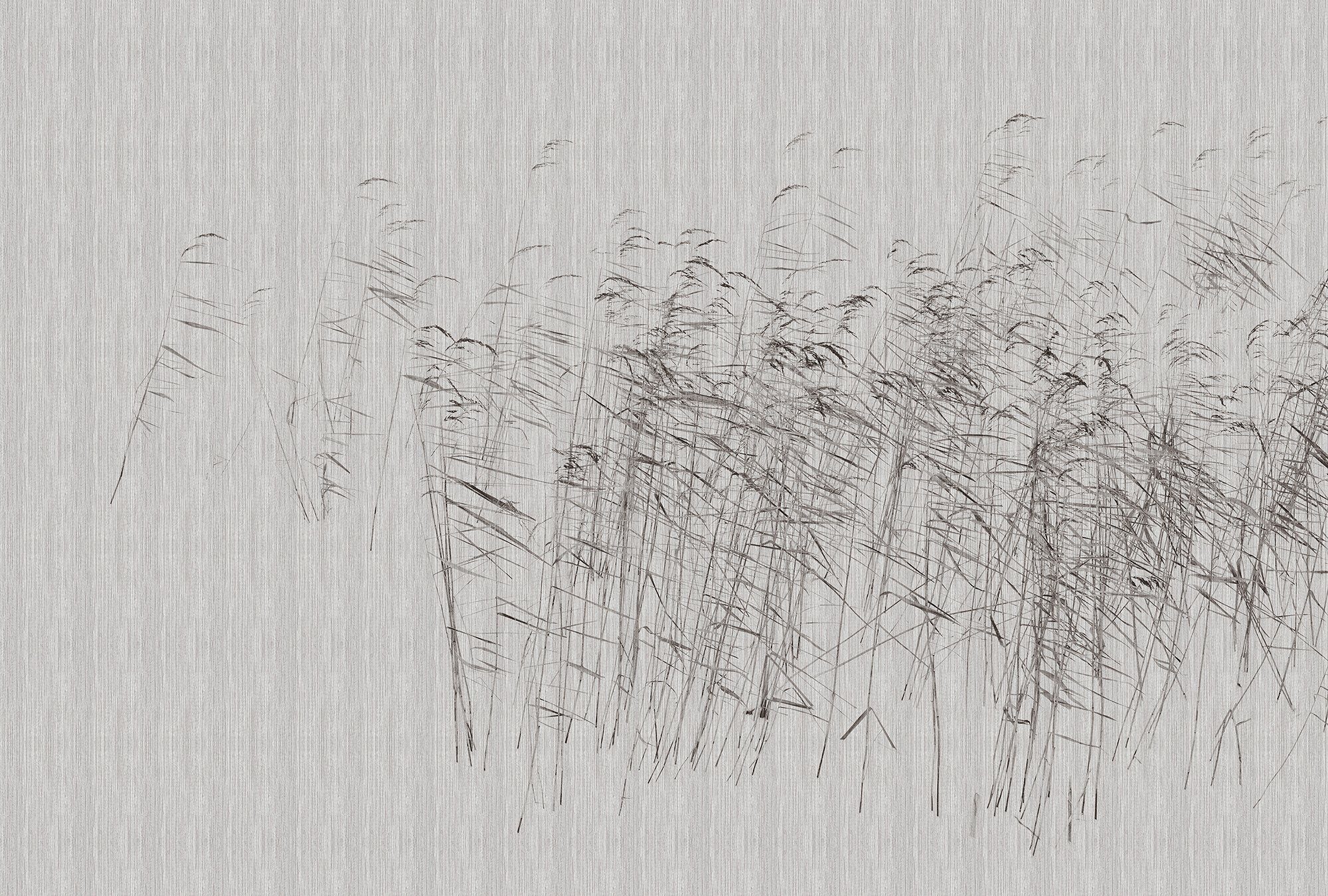 Fototapete Walls by Patel At The Pond