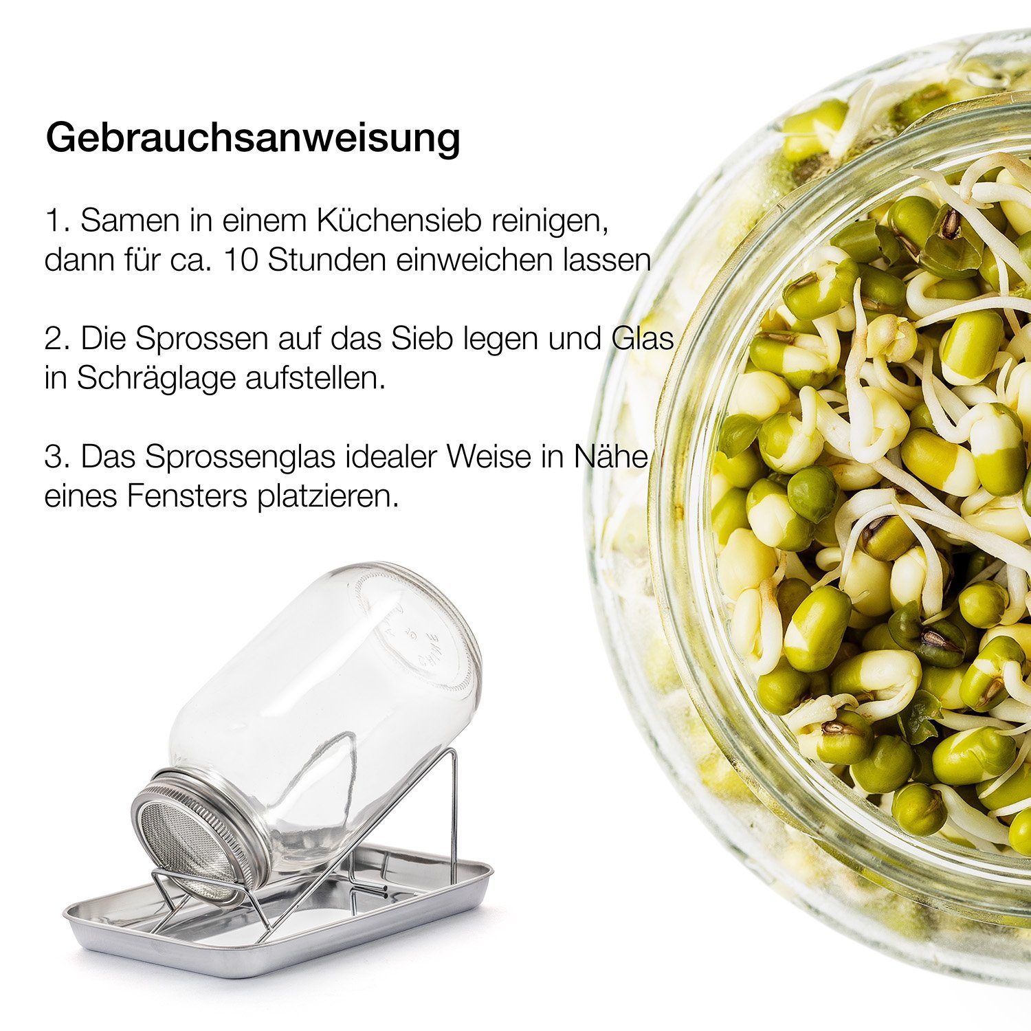 BigDean Anzuchttopf Sprossenglas Keimglas 1000ml mit Edelstahl-Gitterdeckel + Ständer (Set, 1 St., Sprossengläser), Sprossenglas, Leichte Anwendung, Gesunde Ern – Bild 5 von 5