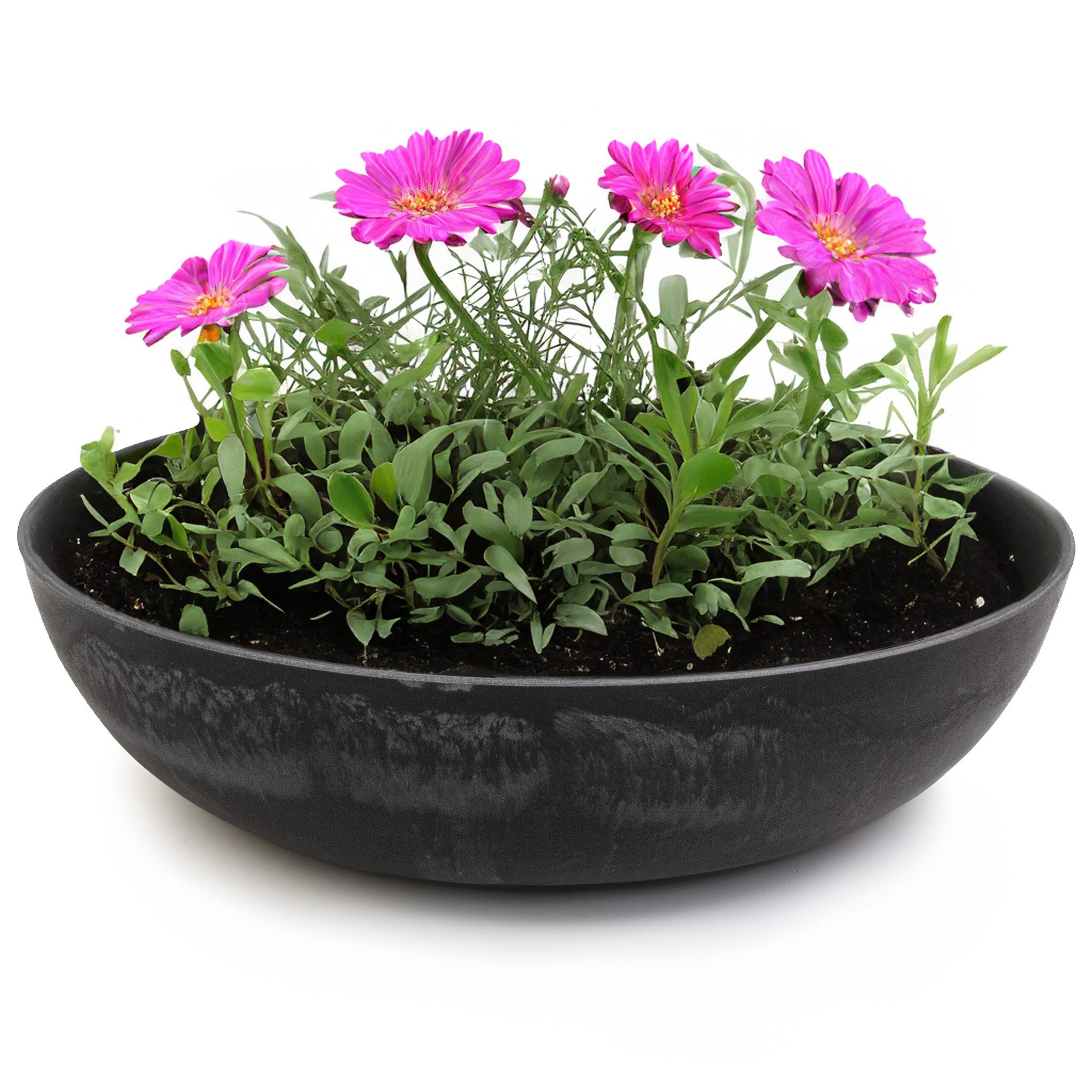 blumenkasten 80 cm toom Blumenkasten Moosgrn