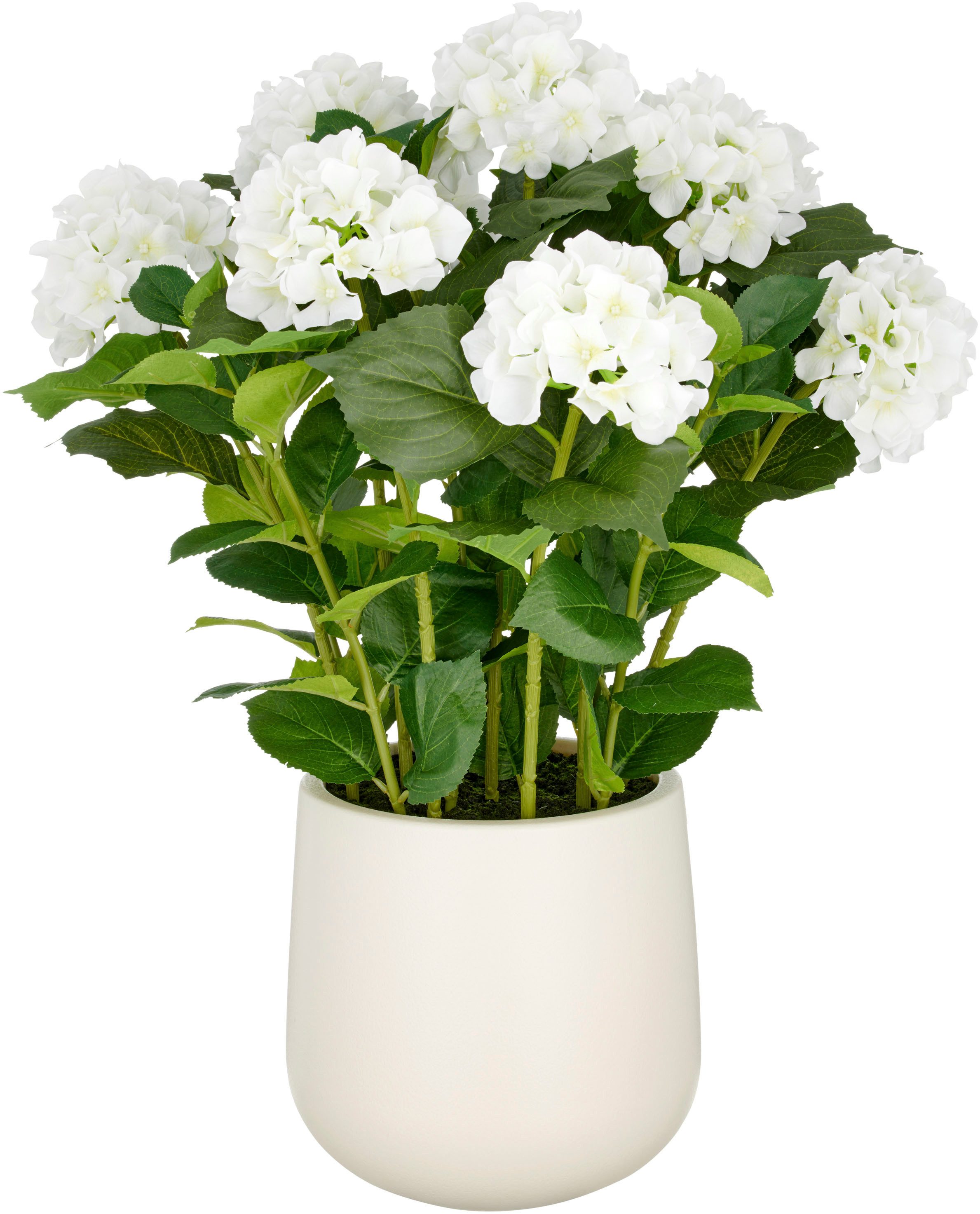 Kunstpflanze Hortensie, Creativ green, Höhe 70 cm, im eleganten Topf