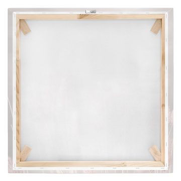 Bilderdepot24 Leinwandbild Kunstdruck Helles Gras Sonnenlicht creme beige Bild auf Leinwand XXL, Bild auf Leinwand; Leinwanddruck in vielen Größen