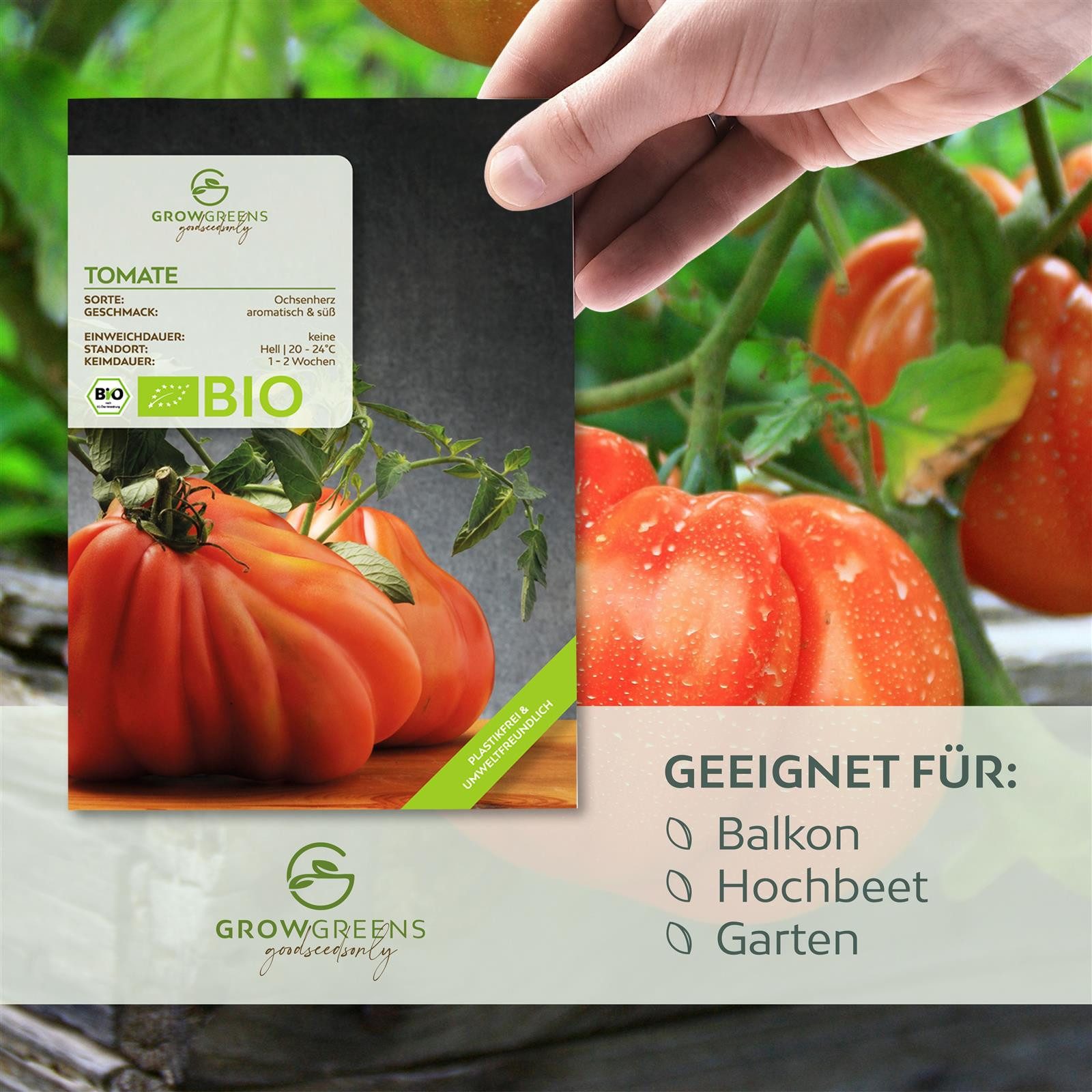 Growgreens Gemüsesamen BIO Tomatensamen (Ochsenherz) - günstig online kaufen