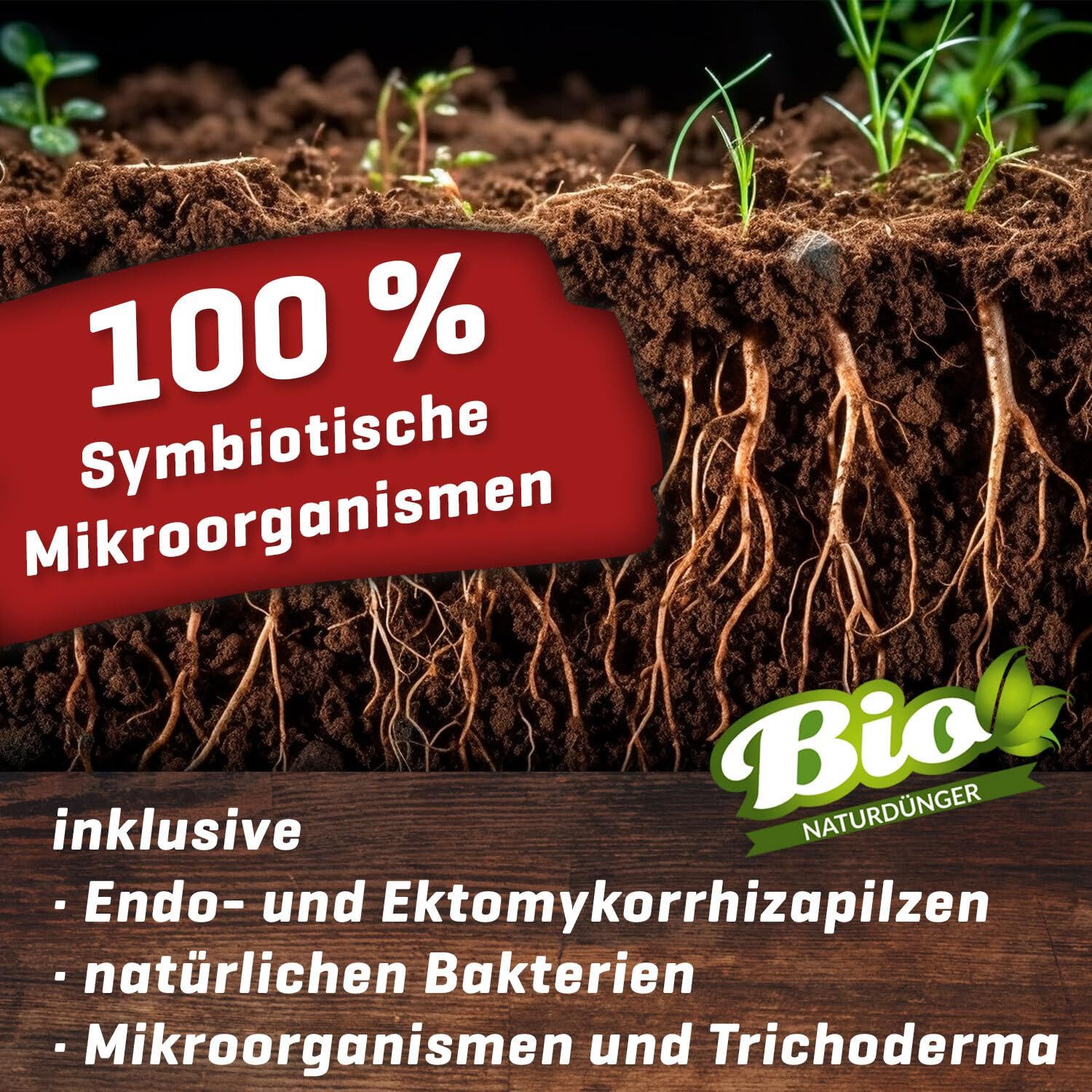 Plant Booom Pflanzenstärkungsmittel Myco-Rhiza, 100gr, Mykorrhiza günstig online kaufen
