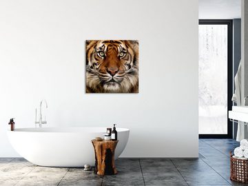 Pixxprint Glasbild Aufmerksamer Tiger, Aufmerksamer Tiger (1 St), Glasbild aus Echtglas, inkl. Aufhängungen und Abstandshalter