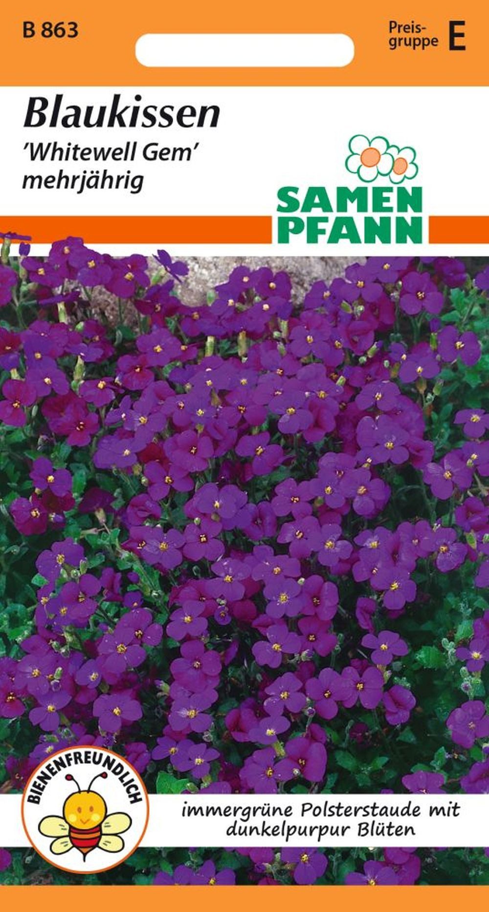 SAMEN PFANN Blumensamen Blaukissen (Aubrieta) - Saatgut Samen, Aubrieta cultorum