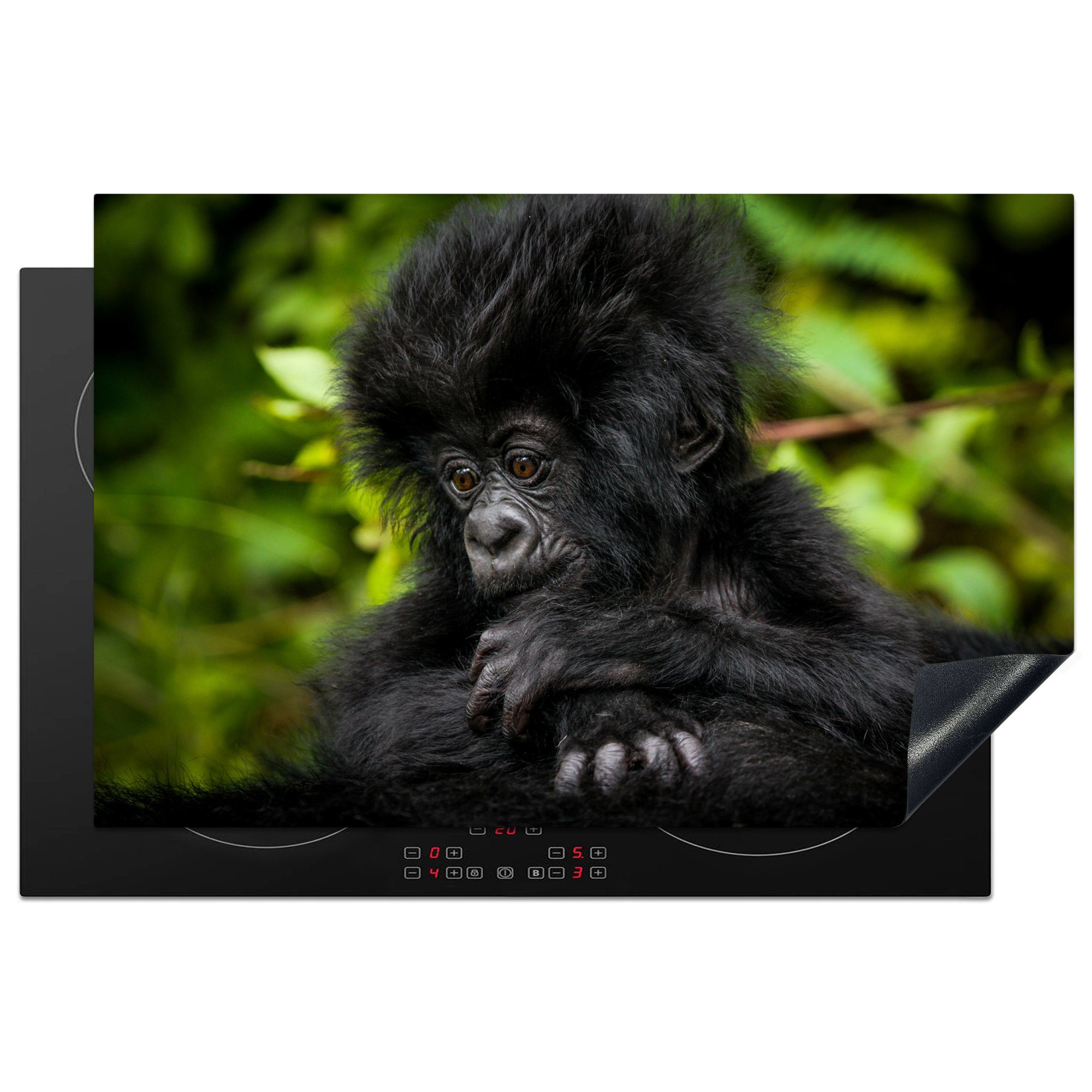 MuchoWow Herdblende-/Abdeckplatte Nahaufnahme eines jungen Gorillas, Vinyl, (1 tlg), 81x52 cm, Induktionskochfeld Schutz für die küche, Ceranfeldabdeckung