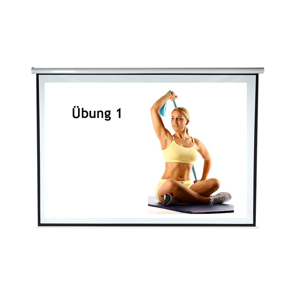 Mucola Motor Leinwand 244x182 Beamerleinwand Beamer inkl FFB Heimkino Motorleinwand (HDTV tauglich)