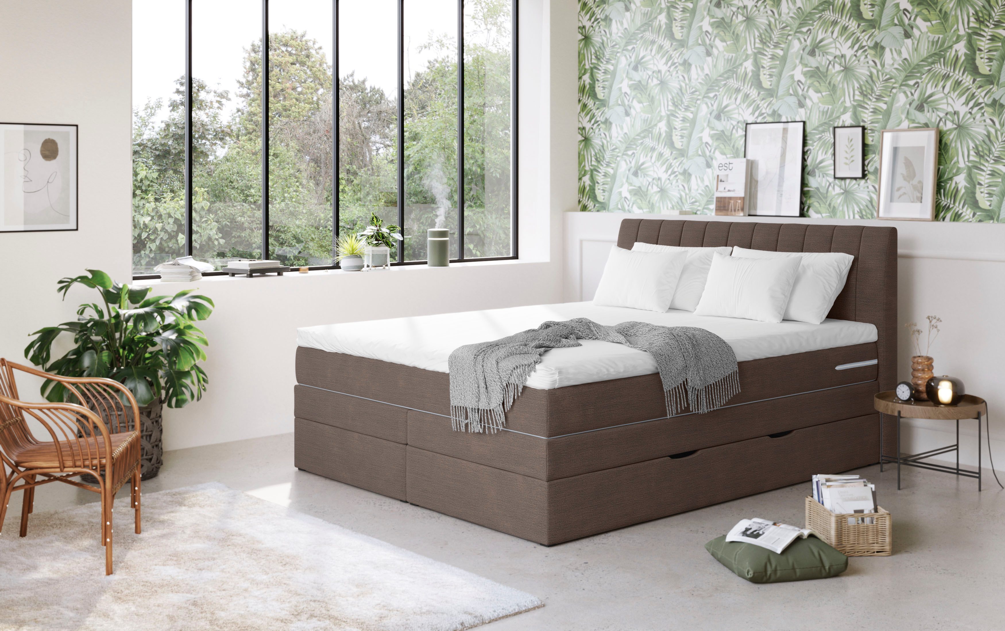 COTTA Boxspringbett Shark inkl. Bettkasten und günstig online kaufen
